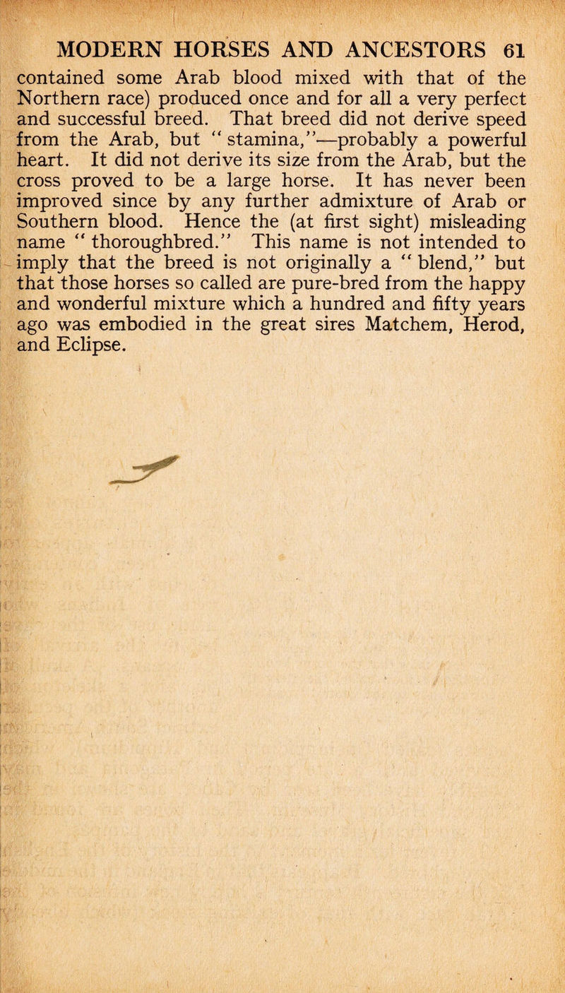 contained some Arab blood mixed with that of the Northern race) produced once and for all a very perfect and successful breed. That breed did not derive speed from the Arab, but “ stamina,”—probably a powerful heart. It did not derive its size from the Arab, but the cross proved to be a large horse. It has never been improved since by any further admixture of Arab or Southern blood. Hence the (at first sight) misleading name “ thoroughbred.” This name is not intended to imply that the breed is not originally a “ blend,” but that those horses so called are pure-bred from the happy and wonderful mixture which a hundred and fifty years ago was embodied in the great sires Matchem, Herod, and Eclipse.