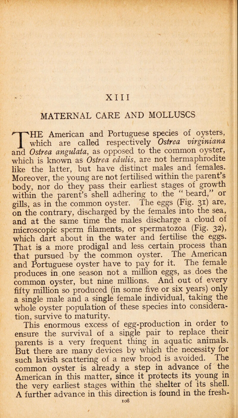 MATERNAL CARE AND MOLLUSCS THE American and Portuguese species of oysters, which are called respectively Ostrea virginiana and Ostrea angulata, as opposed to the common oyster, which is known as Ostrea edulis, are not hermaphrodite like the latter, but have distinct males and females. Moreover, the young are not fertilised within the parent s body, nor do they pass their earliest stages of growth within the parent’s shell adhering to the “ beard,” or gills, as in the common oyster. The eggs (Fig. 31) are, on the contrary, discharged by the females into the sea, and at the same time the males discharge a cloud of microscopic sperm filaments, or spermatozoa (Fig. 32), which dart about in the water and fertilise the eggs. That is a more prodigal and less certain process than that pursued by the common oyster. The American and Portuguese oyster have to pay for it. The female produces in one season not a million eggs, as does the common oyster, but nine millions. And out of every fifty million so produced (in some five or six years) only a single male and a single female individual, taking the whole oyster population of these species into considera¬ tion, survive to maturity. This enormous excess of egg-production in order to ensure the survival of a single pair to replace _ their parents is a very frequent thing in aquatic animals. But there are many devices by which the necessity for such lavish scattering of a new brood is avoided. The common oyster is already a step in advance of the American in this matter, since it protects its young in the very earliest stages within the shelter of its shell. A further advance in this direction is found in the fresh-