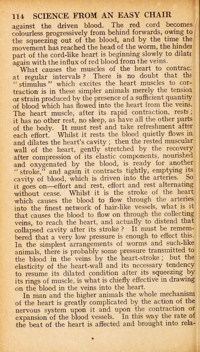 against the driven blood. The red cord becomes colourless progressively from behind forwards, owing to the squeezing out of the blood, and by the time the movement has reached the head of the worm, the hinder part of the cord-like heart is beginning slowly to dilate again with the influx of red blood from the veins. What causes the muscles of the heart to contrac: at regular intervals ? There is no doubt that the “ stimulus ” which excites the heart muscles to at¬ traction is in these simpler animals merely the tension or strain produced by the presence of a sufficient quantity of blood which has flowed into the heart from the veins. The heart muscle, after its rapid contraction, rests; it has no other rest, no sleep, as have all the other parts of the body. It must rest and take refreshment after each effort. Whilst it rests the blood quietly flows in and dilates the heart’s cavity ; then the rested muscular wall of the heart, gently stretched by the recovery after compression of its elastic components, nourished and oxygenated by the blood, is ready for another “ stroke,” and again it contracts tightly, emptying its cavity of blood, which is driven into the arteries. So it goes on—effort and rest, effort and rest alternating without cease. Whilst it is the stroke of the heart which causes the blood to flow through the arteries into the finest network of hair-like vessels, what is it that causes the blood to flow on through the collecting veins, to reach the heart, and actually to distend that collapsed cavity after its stroke ? It must be remem¬ bered that a very low pressure is enough to effect this. In the simplest arrangements of worms and such-like animals, there is probably some pressure transmitted to the blood in the veins by the heart-stroke ; but the elasticity of the heart-wall and its necessary tendency to resume its dilated condition after its squeezing by its rings of muscle, is what is chiefly effective in drawing on the blood in the veins into the heart. In man and the higher animals the whole mechanism of the heart is greatly complicated by the action of the nervous system upon it and upon the contraction or expansion of the blood vessels. In this way the rate of the beat of the heart is affected and brought into rela-