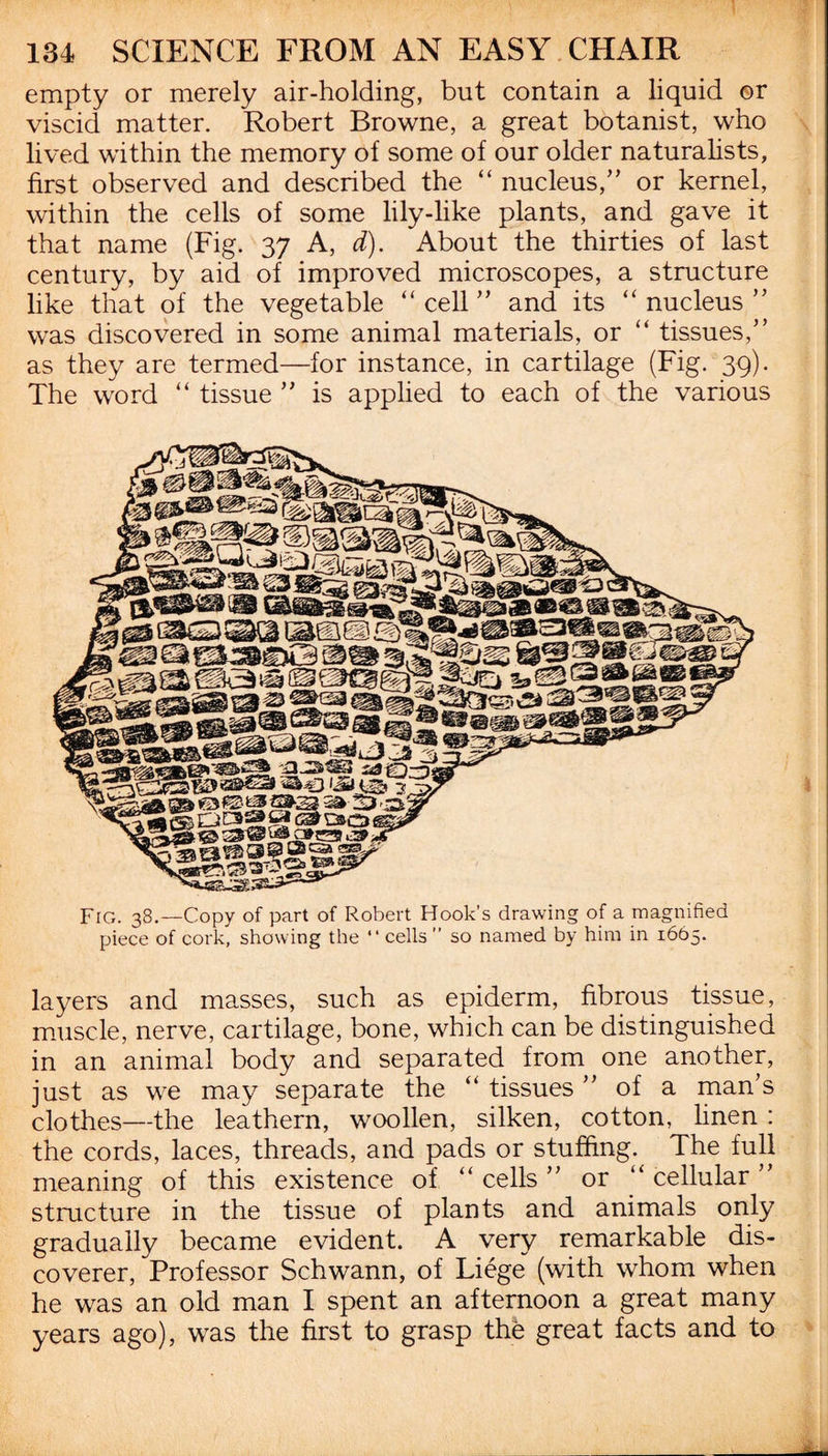 empty or merely air-holding, but contain a liquid or viscid matter. Robert Browne, a great botanist, who lived within the memory of some of our older naturalists, first observed and described the “ nucleus/’ or kernel, within the cells of some lily-like plants, and gave it that name (Fig. 37 A, d). About the thirties of last century, by aid of improved microscopes, a structure like that of the vegetable “ cell ” and its “ nucleus ” was discovered in some animal materials, or “ tissues,” as they are termed—for instance, in cartilage (Fig. 39). The word “ tissue ” is applied to each of the various Fig. 38.—Copy of part of Robert Hook’s drawing of a magnified piece of cork, showing the “ cells ” so named by him in 1665. layers and masses, such as epiderm, fibrous tissue, muscle, nerve, cartilage, bone, which can be distinguished in an animal body and separated from one another, just as we may separate the “ tissues ” of a man’s clothes—the leathern, woollen, silken, cotton, linen : the cords, laces, threads, and pads or stuffing. The full meaning of this existence of “ cells ” or “ cellular ” structure in the tissue of plants and animals only gradually became evident. A very remarkable dis¬ coverer, Professor Schwann, of Liege (with whom when he was an old man I spent an afternoon a great many years ago), was the first to grasp the great facts and to