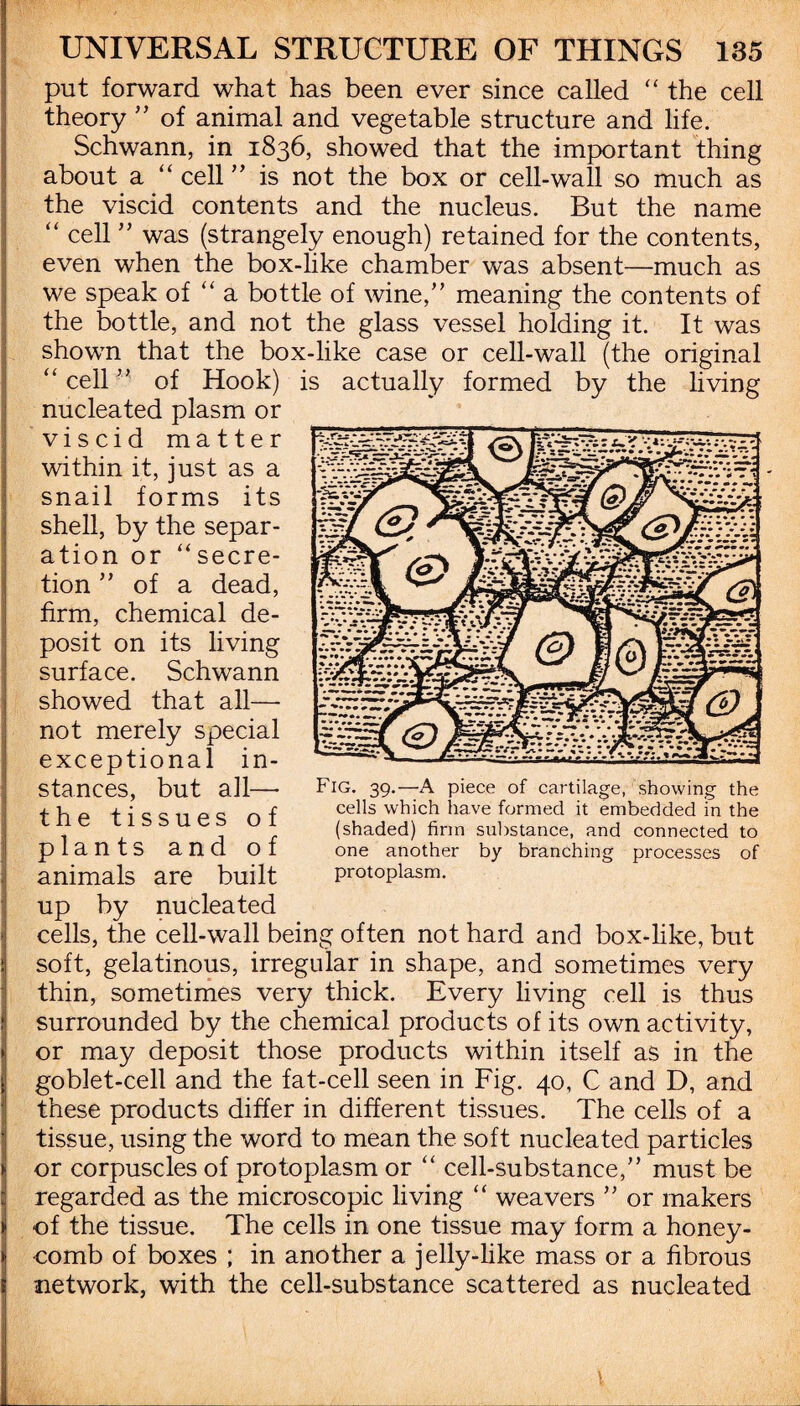 put forward what has been ever since called “ the cell theory ” of animal and vegetable structure and life. Schwann, in 1836, showed that the important thing about a “ cell ” is not the box or cell-wall so much as the viscid contents and the nucleus. But the name “ cell ” was (strangely enough) retained for the contents, even when the box-like chamber was absent—much as we speak of “ a bottle of wine,” meaning the contents of the bottle, and not the glass vessel holding it. It was shown that the box-like case or cell-wall (the original “ cell ” of Hook) is actually formed by the living nucleated plasm or viscid matter within it, just as a snail forms its shell, by the separ- ation or “secre¬ tion ” of a dead, firm, chemical de¬ posit on its living surface. Schwann showed that all—■ not merely special exceptional in¬ stances, but all— the tissues of plants and of animals are built up by nucleated cells, the cell-wall being often not hard and box-like, but soft, gelatinous, irregular in shape, and sometimes very thin, sometimes very thick. Every living cell is thus surrounded by the chemical products of its own activity, or may deposit those products within itself as in the goblet-cell and the fat-cell seen in Fig. 40, C and D, and these products differ in different tissues. The cells of a tissue, using the word to mean the soft nucleated particles or corpuscles of protoplasm or “ cell-substance,” must be regarded as the microscopic living “ weavers ” or makers of the tissue. The cells in one tissue may form a honey¬ comb of boxes ; in another a jelly-like mass or a fibrous network, with the cell-substance scattered as nucleated Fig. 39.—A piece of cartilage, showing the cells which have formed it embedded in the (shaded) firm substance, and connected to one another by branching processes of protoplasm.