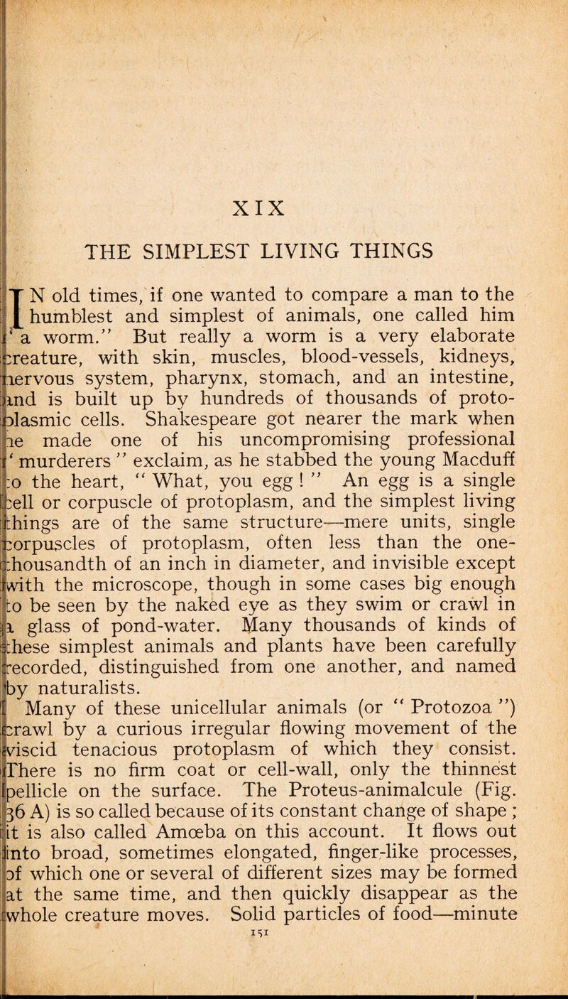 1 XIX THE SIMPLEST LIVING THINGS I IN old times, if one wanted to compare a man to the humblest and simplest of animals, one called him 1 ‘ a worm. But really a worm is a very elaborate creature, with skin, muscles, blood-vessels, kidneys, ■nervous system, pharynx, stomach, and an intestine, :>md is built up bv hundreds of thousands of proto¬ plasmic cells. Shakespeare got nearer the mark when le made one of his uncompromising professional ‘ murderers  exclaim, as he stabbed the young Macduff :o the heart, “ What, you egg !  An egg is a single cell or corpuscle of protoplasm, and the simplest living things are of the same structure—mere units, single corpuscles of protoplasm, often less than the one- |:housandth of an inch in diameter, and invisible except with the microscope, though in some cases big enough to be seen by the naked eye as they swim or crawl in i glass of pond-water. Many thousands of kinds of these simplest animals and plants have been carefully recorded, distinguished from one another, and named by naturalists. !j Many of these unicellular animals (or “ Protozoa ) orawl by a curious irregular flowing movement of the viscid tenacious protoplasm of which they consist. There is no firm coat or cell-wall, only the thinnest pellicle on the surface. The Proteus-animalcule (Fig. 36 A) is so called because of its constant change of shape ; it is also called Amoeba on this account. It flows out into broad, sometimes elongated, finger-like processes, of which one or several of different sizes may be formed at the same time, and then quickly disappear as the whole creature moves. Solid particles of food—minute