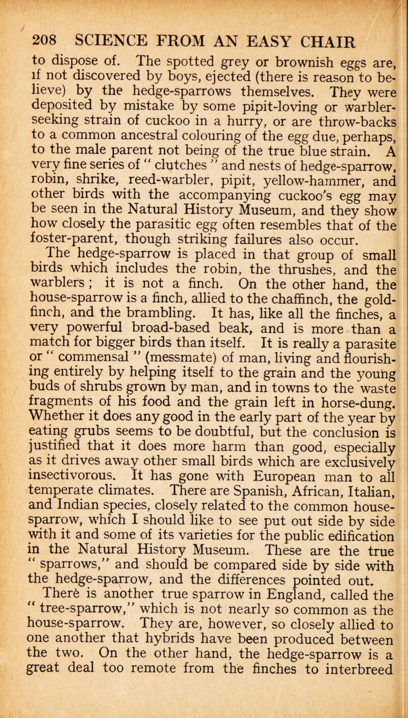 to dispose of. The spotted grey or brownish eggs are, if not discovered by boys, ejected (there is reason to be¬ lieve) by the hedge-sparrows themselves. They were deposited by mistake by some pipit-loving or warbler¬ seeking strain of cuckoo in a hurry, or are throw-backs to a common ancestral colouring of the egg due, perhaps, to the male parent not being of the true blue strain. A very fine series of “ clutches  and nests of hedge-sparrow, robin, shrike, reed-warbler, pipit, yellow-hammer, and other birds with the accompanying cuckoo's egg may be seen in the Natural History Museum, and they show how closely the parasitic egg often resembles that of the foster-parent, though striking failures also occur. The hedge-sparrow is placed in that group of small birds which includes the robin, the thrushes, and the warblers ; it is not a finch. On the other hand, the house-sparrow is a finch, allied to the chaffinch, the gold¬ finch, and the brambling. It has, like all the finches, a very powerful broad-based beak, and is more than a match for bigger birds than itself. It is really a parasite or “ commensal  (messmate) of man, living and flourish¬ ing entirely by helping itself to the grain and the young buds of shrubs grown by man, and in towns to the waste fragments of his food and the grain left in horse-dung. Whether it does any good in the early part of the year by eating grubs seems to be doubtful, but the conclusion is justified that it does more harm than good, especially as it drives away other small birds which are exclusively insectivorous. It has gone with European man to all temperate climates. There are Spanish, African, Italian, and Indian species, closely related to the common house- sparrow, which I should like to see put out side by side with it and some of its varieties for the public edification in the Natural History Museum. These are the true “ sparrows, and should be compared side by side with the hedge-sparrow, and the differences pointed out. There is another true sparrow in England, called the “ tree-sparrow, which is not nearly so common as the house-sparrow. They are, however, so closely allied to one another that hybrids have been produced between the two. On the other hand, the hedge-sparrow is a great deal too remote from the finches to interbreed