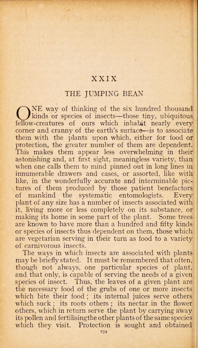 XXIX THE JUMPING BEAN f ONE way of thinking of the six hundred thousand kinds or species of insects—those tiny, ubiquitous fellow-creatures of ours which inhabit nearly every corner and cranny of the earth’s surface—is to associate them with the plants upon which, either for food or protection, the greater number of them are dependent. This makes them appear less overwhelming in their astonishing and, at first sight, meaningless variety, than when one calls them to mind pinned out in long lines in innumerable drawers and cases, or assorted, like with like, in the wonderfully accurate and interminable pic¬ tures of them produced by those patient benefactors of mankind the systematic entomologists. Every plant of any size has a number of insects associated with it, living more or less completely on its substance, or making its home in some part of the plant. Some trees are known to have more than a hundred and fifty kinds or species of insects thus dependent on them, those which are vegetarian serving in their turn as food to a variety of carnivorous insects. The ways in which insects are associated with plants may be briefly stated. It must be remembered that often, though not always, one particular species of plant, and that only, is capable of serving the needs of a given species of insect. Thus, the leaves of a given plant are the necessary food of the grubs of one or more insects which bite their food ; its internal juices serve others which suck ; its roots others ; its nectar in the flower others, which in return serve the plant by carrying away its pollen and fertilisingthe other plants of the same species which they visit. Protection is sought and obtained