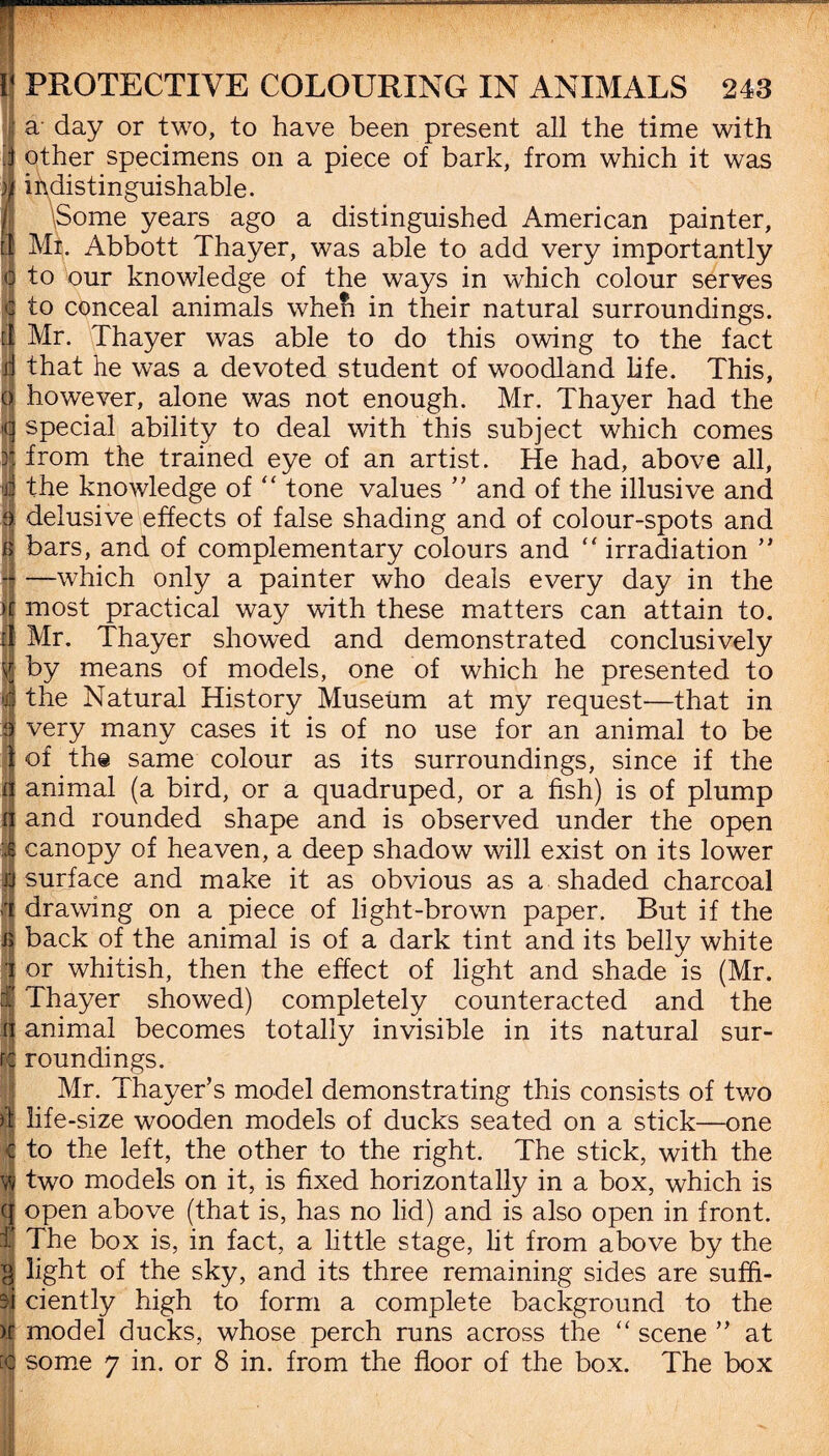 a day or two, to have been present all the time with other specimens on a piece of bark, from which it was indistinguishable. \Some years ago a distinguished American painter, Mr. Abbott Thayer, was able to add very importantly to our knowledge of the ways in which colour serves to conceal animals when in their natural surroundings. Mr. Thayer was able to do this owing to the fact that he was a devoted student of woodland life. This, however, alone was not enough. Mr. Thayer had the special ability to deal with this subject which comes from the trained eye of an artist. He had, above all, the knowledge of “ tone values ” and of the illusive and delusive effects of false shading and of colour-spots and bars, and of complementary colours and “ irradiation ” —which only a painter who deals every day in the most practical way with these matters can attain to. Mr. Thayer showed and demonstrated conclusively by means of models, one of which he presented to the Natural History Museum at my request—that in very many cases it is of no use for an animal to be of the same colour as its surroundings, since if the animal (a bird, or a quadruped, or a fish) is of plump and rounded shape and is observed under the open canopy of heaven, a deep shadow will exist on its lower surface and make it as obvious as a shaded charcoal drawing on a piece of light-brown paper. But if the back of the animal is of a dark tint and its belly white or whitish, then the effect of light and shade is (Mr. Thayer showed) completely counteracted and the animal becomes totally invisible in its natural sur¬ roundings. Mr. Thayer’s model demonstrating this consists of two life-size wooden models of ducks seated on a stick—one to the left, the other to the right. The stick, with the two models on it, is fixed horizontally in a box, which is open above (that is, has no lid) and is also open in front. The box is, in fact, a little stage, lit from above by the light of the sky, and its three remaining sides are suffi¬ ciently high to form a complete background to the model ducks, whose perch runs across the “ scene ” at some 7 in. or 8 in. from the floor of the box. The box