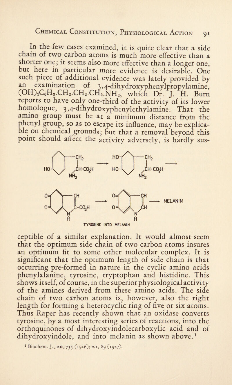 91 In the few cases examined, it is quite clear that a side chain of two carbon atoms is much more effective than a shorter one; it seems also more effective than a longer one, but here in particular more evidence is desirable. One such piece of additional evidence was lately provided by an examination of 3,4-dihydroxyphenylpropylamine, (OH)2C6H3.CH2.CH2.CH2.NH2, which Dr. J. H. Burn reports to have only one-third of the activity of its lower homologue, 3,4-dihydroxyphenylethylamine. That the amino group must be at a minimum distance from the phenyl group, so as to escape its influence, may be explica¬ ble on chemical grounds; but that a removal beyond this point should affect the activity adversely, is hardly sus- HO x/ /CH-COjH NH2 HO HO X\ X/ /CH-CCfeH NH2 CH 0=Uvc‘^H CH II CH H H TYROSINE INTO MELANIN ♦ MELANIN ceptible of a similar explanation. It would almost seem that the optimum side chain of two carbon atoms insures an optimum fit to some other molecular complex. It is significant that the optimum length of side chain is that occurring pre-formed in nature in the cyclic amino acids phenylalanine, tyrosine, tryptophan and histidine. This shows itself, of course, in the superior physiological activity of the amines derived from these amino acids. The side chain of two carbon atoms is, however, also the right length for forming a heterocyclic ring of five or six atoms. Thus Raper has recently shown that an oxidase converts tyrosine, by a most interesting series of reactions, into the orthoquinones of dihydroxyindolecarboxylic acid and of dihydroxyindole, and into melanin as shown above.1