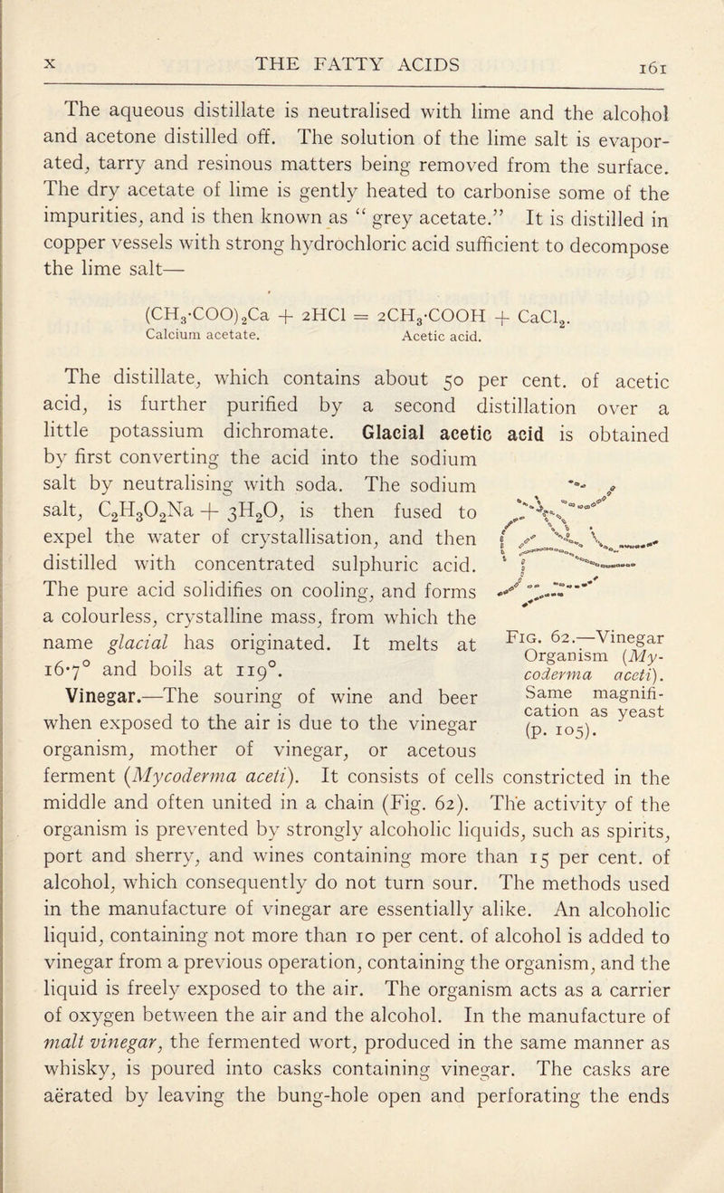 The aqueous distillate is neutralised with lime and the alcohol and acetone distilled off. The solution of the lime salt is evapor¬ ated, tarry and resinous matters being removed from the surface. The dry acetate of lime is gently heated to carbonise some of the impurities, and is then known as “ grey acetate.” It is distilled in copper vessels with strong hydrochloric acid sufficient to decompose the lime salt— (CH3-COO) 2Ca + 2HCI = 2CH3-COOH + CaCl2. Calcium acetate. Acetic acid. over a obtained > * The distillate, which contains about 50 per cent, of acetic acid, is further purified by a second distillation little potassium dichromate. Glacial acetic acid is by first converting the acid into the sodium salt by neutralising with soda. The sodium salt, C2H302Na -f- 3lT20, is then fused to expel the water of crystallisation, and then distilled with concentrated sulphuric acid. The pure acid solidifies on cooling, and forms a colourless, crystalline mass, from which the name glacial has originated. It melts at i6’7° and boils at 1190. Vinegar.—The souring of wine and beer when exposed to the air is due to the vinegar organism, mother of vinegar, or acetous ferment (Mycoderma aceii). It consists of cells constricted in the middle and often united in a chain (Fig. 62). The activity of the organism is prevented by strongly alcoholic liquids, such as spirits, port and sherry, and wines containing more than 15 per cent, of alcohol, which consequently do not turn sour. The methods used in the manufacture of vinegar are essentially alike. An alcoholic liquid, containing not more than 10 per cent, of alcohol is added to vinegar from a previous operation, containing the organism, and the liquid is freely exposed to the air. The organism acts as a carrier of oxygen between the air and the alcohol. In the manufacture of malt vinegar, the fermented wort, produced in the same manner as whisky, is poured into casks containing vinegar. The casks are aerated by leaving the bung-hole open and perforating the ends Fig. 62.—Vinegar Organism (My¬ coderma aceti). Same magnifi¬ cation as yeast (p. 105).