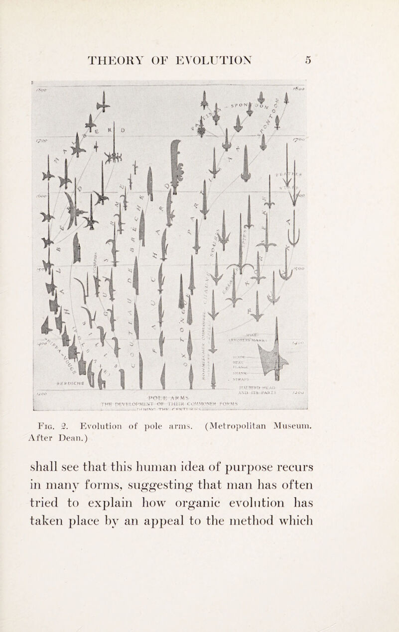 Fig. 2. Evolution of pole arms. (Metropolitan Museum. After Dean.) shall see that this human idea of purpose recurs in many forms, suggesting that man has often tried to explain how organic evolution has taken place by an appeal to the method which