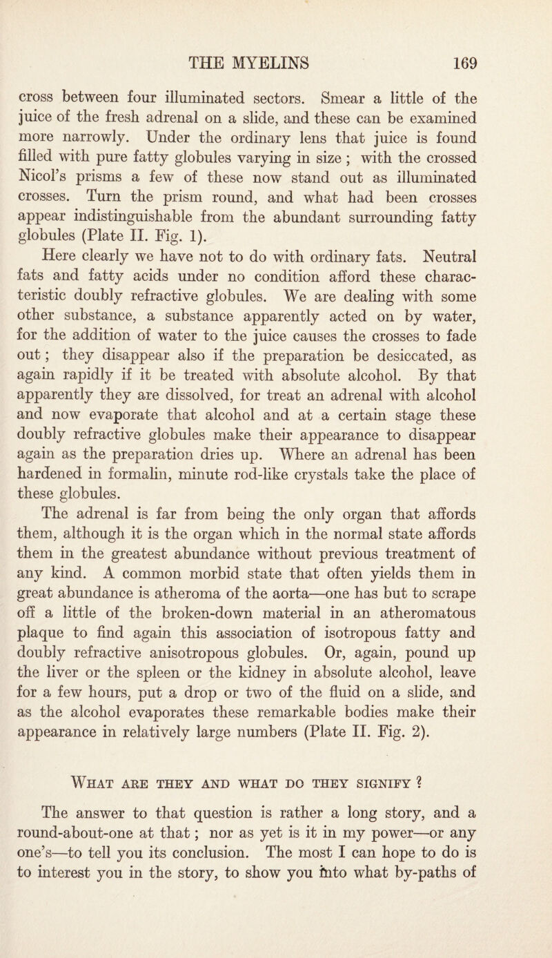cross between four illuminated sectors. Smear a little of the juice of the fresh adrenal on a slide, and these can be examined more narrowly. Under the ordinary lens that juice is found filled with pure fatty globules varying in size ; with the crossed Nicol’s prisms a few of these now stand out as illuminated crosses. Turn the prism round, and what had been crosses appear indistinguishable from the abundant surrounding fatty globules (Plate II. Fig. 1). Here clearly we have not to do with ordinary fats. Neutral fats and fatty acids under no condition afford these charac¬ teristic doubly refractive globules. We are dealing with some other substance, a substance apparently acted on by water, for the addition of water to the juice causes the crosses to fade out; they disappear also if the preparation be desiccated, as again rapidly if it be treated with absolute alcohol. By that apparently they are dissolved, for treat an adrenal with alcohol and now evaporate that alcohol and at a certain stage these doubly refractive globules make their appearance to disappear again as the preparation dries up. Where an adrenal has been hardened in formalin, minute rod-like crystals take the place of these globules. The adrenal is far from being the only organ that affords them, although it is the organ which in the normal state affords them in the greatest abundance without previous treatment of any kind. A common morbid state that often yields them in great abundance is atheroma of the aorta—one has but to scrape off a little of the broken-down material in an atheromatous plaque to find again this association of isotropous fatty and doubly refractive anisotropous globules. Or, again, pound up the liver or the spleen or the kidney in absolute alcohol, leave for a few hours, put a drop or twTo of the fluid on a slide, and as the alcohol evaporates these remarkable bodies make their appearance in relatively large numbers (Plate II. Fig. 2). What are they and what do they signify ? The answer to that question is rather a long story, and a round-about-one at that; nor as yet is it in my power—or any one’s—to tell you its conclusion. The most I can hope to do is to interest you in the story, to show you into what by-paths of