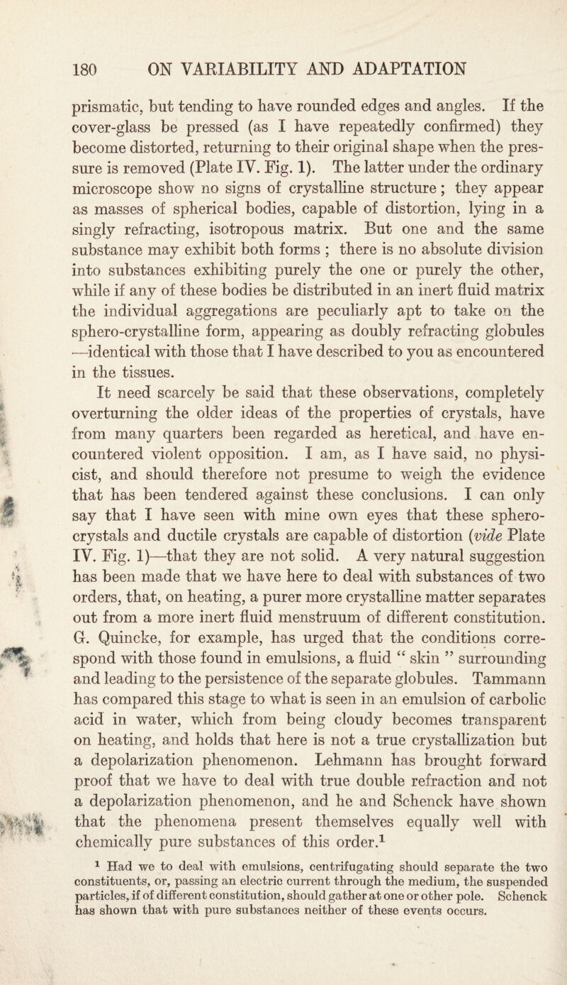 prismatic, but tending to have rounded edges and angles. If the cover-glass be pressed (as I have repeatedly confirmed) they become distorted, returning to their original shape when the pres¬ sure is removed (Plate IV. Fig. 1). The latter under the ordinary microscope show no signs of crystalline structure; they appear as masses of spherical bodies, capable of distortion, lying in a singly refracting, isotropous matrix. But one and the same substance may exhibit both forms ; there is no absolute division into substances exhibiting purely the one or purely the other, while if any of these bodies be distributed in an inert fluid matrix the individual aggregations are peculiarly apt to take on the sphero-crystalline form, appearing as doubly refracting globules —identical with those that I have described to you as encountered in the tissues. It need scarcely be said that these observations, completely overturning the older ideas of the properties of crystals, have from many quarters been regarded as heretical, and have en¬ countered violent opposition. I am, as I have said, no physi¬ cist, and should therefore not presume to weigh the evidence that has been tendered against these conclusions. I can only say that I have seen with mine own eyes that these sphero- crystals and ductile crystals are capable of distortion (vide Plate IV. Fig. 1)—that they are not solid. A very natural suggestion has been made that we have here to deal with substances of two orders, that, on heating, a purer more crystalline matter separates out from a more inert fluid menstruum of different constitution. G-. Quincke, for example, has urged that the conditions corre¬ spond with those found in emulsions, a fluid “ skin ” surrounding and leading to the persistence of the separate globules. Tammann has compared this stage to what is seen in an emulsion of carbolic acid in water, which from being cloudy becomes transparent on heating, and holds that here is not a true crystallization but a depolarization phenomenon. Lehmann has brought forward proof that we have to deal with true double refraction and not a depolarization phenomenon, and he and Schenck have shown that the phenomena present themselves equally well with chemically pure substances of this order.1 1 Had we to deal with emulsions, centrifugating should separate the two constituents, or, passing an electric current through the medium, the suspended particles, if of different constitution, should gather at one or other pole. Schenck has shown that with pure substances neither of these events occurs.