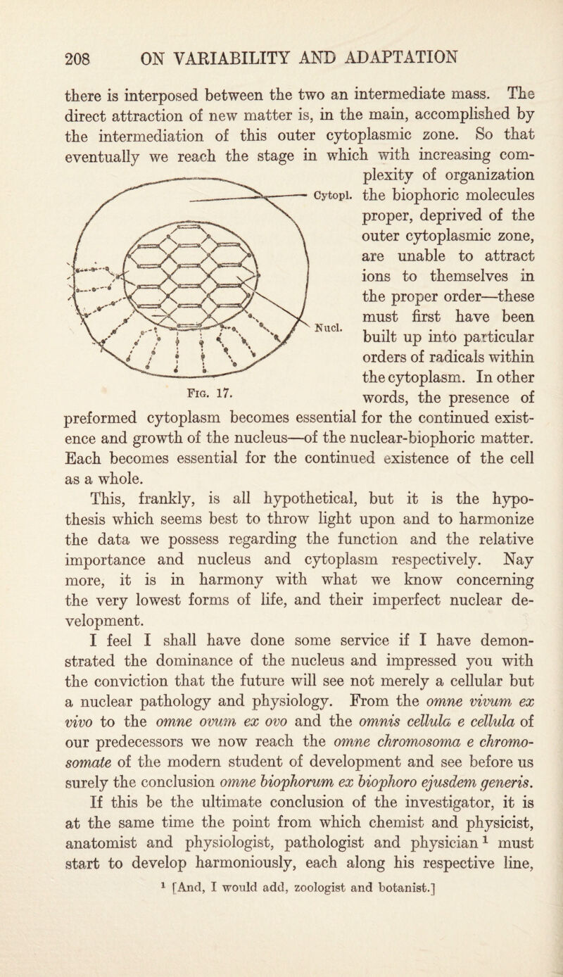 there is interposed between the two an intermediate mass. The direct attraction of new matter is, in the main, accomplished by the intermediation of this outer cytoplasmic zone. So that eventually we reach the stage in which with increasing com¬ plexity of organization the biophoric molecules proper, deprived of the outer cytoplasmic zone, are unable to attract ions to themselves in the proper order—these must first have been built up into particular orders of radicals within the cytoplasm. In other words, the presence of preformed cytoplasm becomes essential for the continued exist¬ ence and growth of the nucleus—of the nuclear-biophoric matter. Each becomes essential for the continued existence of the cell as a whole. This, frankly, is all hypothetical, but it is the hypo¬ thesis which seems best to throw light upon and to harmonize the data we possess regarding the function and the relative importance and nucleus and cytoplasm respectively. Nay more, it is in harmony with what we know concerning the very lowest forms of life, and their imperfect nuclear de¬ velopment. I feel I shall have done some service if I have demon¬ strated the dominance of the nucleus and impressed you with the conviction that the future will see not merely a cellular but a nuclear pathology and physiology. From the omne vivum ex vivo to the omne ovum ex ovo and the omnis cellula e cettula of our predecessors we now reach the omne chromosoma e chromo- somate of the modern student of development and see before us surely the conclusion omne biophorum ex biophoro ejusdem generis. If this be the ultimate conclusion of the investigator, it is at the same time the point from which chemist and physicist, anatomist and physiologist, pathologist and physician1 must start to develop harmoniously, each along his respective line, 1 [And, I would add, zoologist and botanist.]