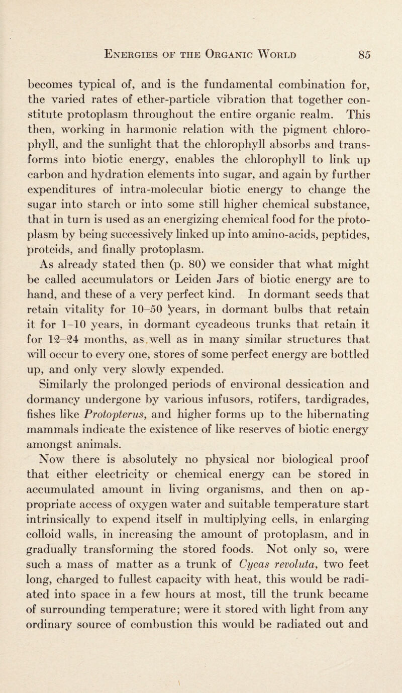 becomes typical of, and is the fundamental combination for, the varied rates of ether-particle vibration that together con¬ stitute protoplasm throughout the entire organic realm. This then, working in harmonic relation with the pigment chloro¬ phyll, and the sunlight that the chlorophyll absorbs and trans¬ forms into biotic energy, enables the chlorophyll to link up carbon and hydration elements into sugar, and again by further expenditures of intra-molecular biotic energy to change the sugar into starch or into some still higher chemical substance, that in turn is used as an energizing chemical food for the proto¬ plasm by being successively linked up into amino-acids, peptides, proteids, and finally protoplasm. As already stated then (p. 80) we consider that what might be called accumulators or Leiden Jars of biotic energy are to hand, and these of a very perfect kind. In dormant seeds that retain vitality for 10-50 years, in dormant bulbs that retain it for 1-10 years, in dormant cycadeous trunks that retain it for 12-24 months, as.well as in many similar structures that will occur to every one, stores of some perfect energy are bottled up, and only very slowly expended. Similarly the prolonged periods of environal dessication and dormancy undergone by various infusors, rotifers, tardigrades, fishes like Protopterus, and higher forms up to the hibernating mammals indicate the existence of like reserves of biotic energy amongst animals. Now there is absolutely no physical nor biological proof that either electricity or chemical energy can be stored in accumulated amount in living organisms, and then on ap¬ propriate access of oxygen water and suitable temperature start intrinsically to expend itself in multiplying cells, in enlarging colloid walls, in increasing the amount of protoplasm, and in gradually transforming the stored foods. Not only so, were such a mass of matter as a trunk of Cycas revoluta, two feet long, charged to fullest capacity with heat, this would be radi¬ ated into space in a few hours at most, till the trunk became of surrounding temperature; were it stored with light from any ordinary source of combustion this would be radiated out and