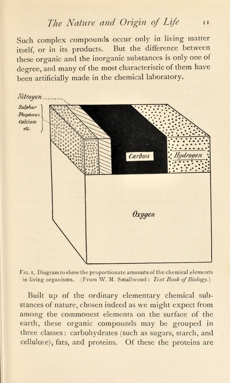 Such complex compounds occur only in living matter itself, or in its products. But the difference between these organic and the inorganic substances is only one of degree, and many of the most characteristic of them have been artificially made in the chemical laboratory. Nitrogen Sulphur P&spAorus Calcium dc. t Fig. t. Diagram toshowthe proportionate amounts of the chemical elements in living organisms. (From W. M. Smallwood : Text Book of Biology.) Built up of the ordinary elementary chemical sub¬ stances of nature, chosen indeed as we might expect from among the commonest elements on the surface of the earth, these organic compounds may be grouped in three classes: carbohydrates (such as sugars, starch, and cellulose), fats, and proteins. Of these the proteins are