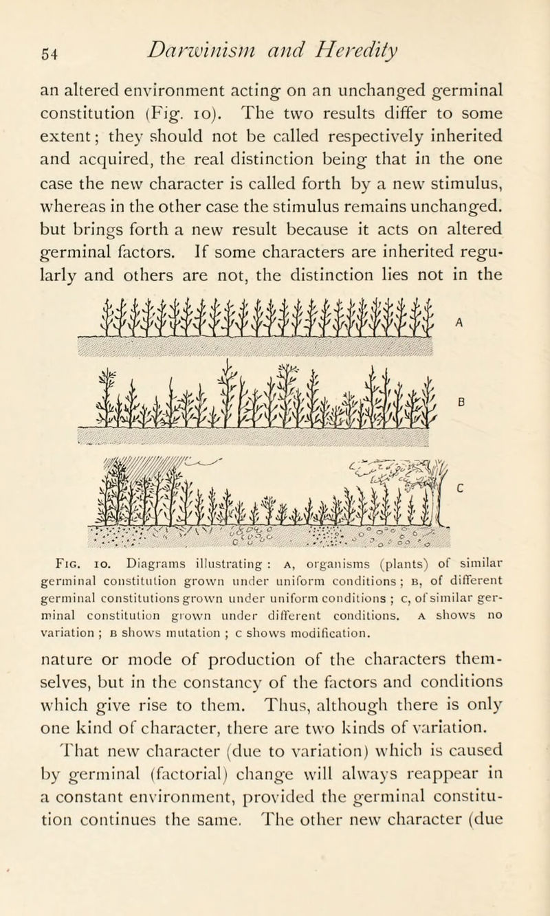an altered environment acting- on an unchanged germinal constitution (Fig. io). The two results differ to some extent; they should not be called respectively inherited and acquired, the real distinction being that in the one case the new character is called forth by a new stimulus, whereas in the other case the stimulus remains unchanged, but brings forth a new result because it acts on altered germinal factors. If some characters are inherited regu¬ larly and others are not, the distinction lies not in the Fig. io. Diagrams illustrating : a, organisms (plants) of similar germinal constitution grown under uniform conditions; b, of different germinal constitutions grown under uniform conditions ; c, of similar ger¬ minal constitution grown under different conditions, a shows no variation ; b shows mutation ; c shows modification. nature or mode of production of the characters them¬ selves, but in the constancy of the factors and conditions which give rise to them. Thus, although there is only one kind of character, there are two kinds of variation. That new character (due to variation) which is caused by germinal (factorial) change will always reappear in a constant environment, provided the germinal constitu¬ tion continues the same. The other new character (due