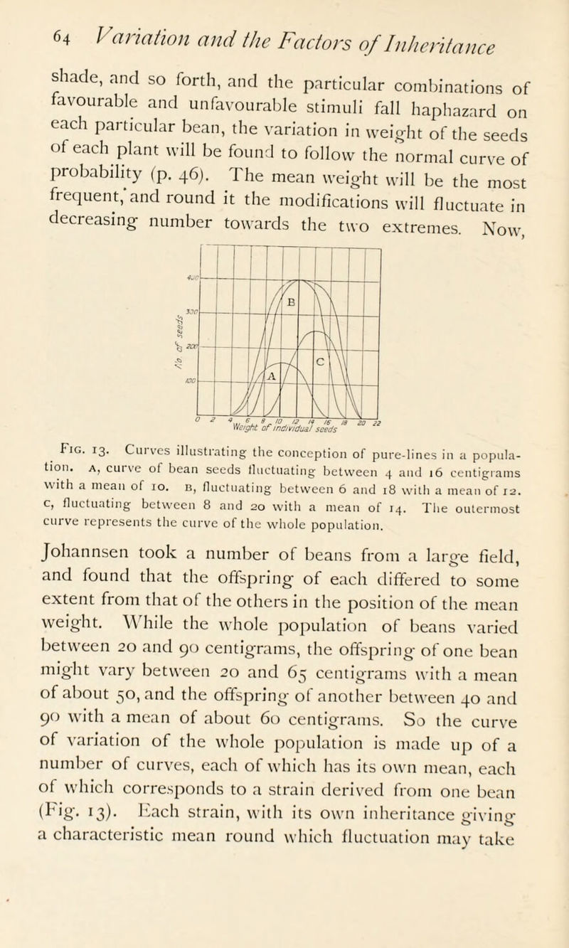 shade, and so forth, and the particular combinations of favourable and unfavourable stimuli fall haphazard on each particular bean, the variation in weight of the seeds of each plant will be found to follow the normal curve of probability (p. 46). The mean weight will be the most frequent;and round it the modifications will fluctuate in decreasing number towards the two extremes. Now, Fig. 13. Cuives illustrating the conception of pure-lines in a popula¬ tion. a, curve of bean seeds fluctuating between 4 and 16 centigrams with a mean of 10. b, fluctuating between 6 and 18 with a mean of 12. c, fluctuating between 8 and 20 with a mean of 14. The outermost curve represents the curve of the whole population. Johannsen took a number of beans from a large field, and found that the offspring of each differed to some extent from that of the others in the position of the mean weight. \\ hile the whole population of beans varied between 20 and 90 centigrams, the offspring of one bean might vary between 20 and 65 centigrams with a mean of about 50, and the offspring of another between 40 and 90 with a mean of about 60 centigrams. So the curve of variation of the whole population is made up of a number of curves, each of which has its own mean, each of which corresponds to a strain derived from one bean (Fig- J3)- Each strain, with its own inheritance giving a characteristic mean round which fluctuation may take