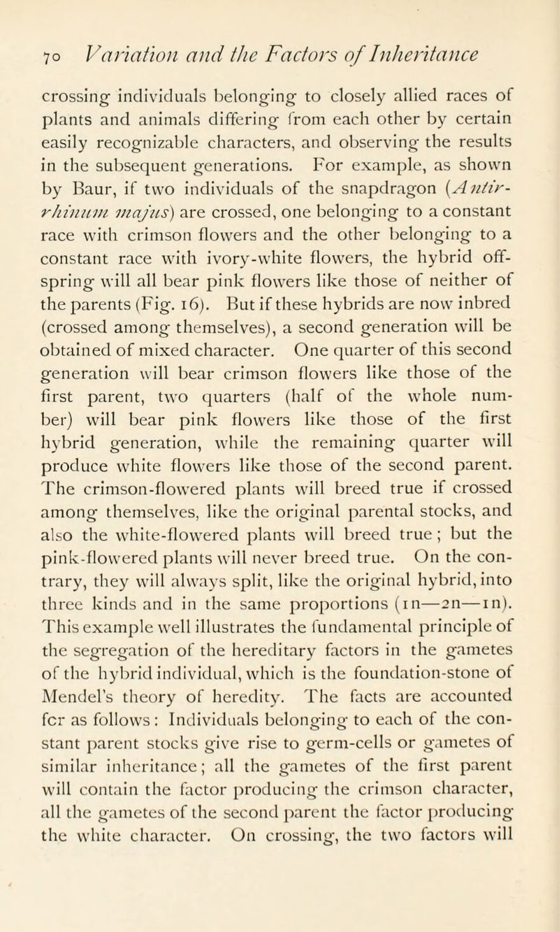 crossing- individuals belonging to closely allied races of plants and animals differing from each other by certain easily recognizable characters, and observing the results in the subsequent generations. For example, as shown by Baur, if two individuals of the snapdragon (An/ir- rhinum majus) are crossed, one belonging to a constant race with crimson flowers and the other belonging to a constant race with ivory-white flowers, the hybrid off¬ spring will all bear pink flowers like those of neither of the parents (Fig. 16). But if these hybrids are now inbred (crossed among themselves), a second generation will be obtained of mixed character. One quarter of this second generation will bear crimson flowers like those of the first parent, two quarters (half of the whole num¬ ber) will bear pink flowers like those of the first hybrid generation, while the remaining quarter will produce white flowers like those of the second parent. The crimson-flowered plants will breed true if crossed among themselves, like the original parental stocks, and also the white-flowered plants will breed true ; but the pink-flowered plants will never breed true. On the con¬ trary, they will always split, like the original hybrid, into three kinds and in the same proportions (in—2ti—in). This example well illustrates the fundamental principle of the segregation of the hereditary factors in the gametes of the hybrid individual, which is the foundation-stone ot Mendel’s theory of heredity. The facts are accounted for as follows: Individuals belonging to each of the con- stant parent stocks give rise to germ-cells or gametes of similar inheritance; all the gametes of the first parent will contain the factor producing the crimson character, all the gametes of the second parent the factor producing the white character. On crossing, the two factors will