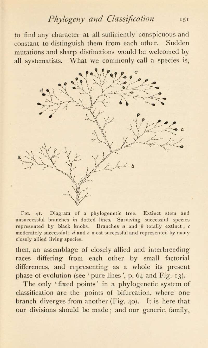 to find any character at all sufficiently conspicuous and constant to distinguish them from each other. Sudden mutations and sharp distinctions would be welcomed by all systematists. What we commonly call a species is, <a 9 e Ui -Py pi'Zl 'Cf \ t w \ . , -VL \ / A \t / V /» / 'iff , v /- V * t -'Ov // \tf V * fe » I / 9 , I * r ,< + * \\ a As _'\ -S / y '■ A \ r^\r \ f'- \ / v/ ' V / ) // \f > ^ , \.,sa' _jv ty,-, \! \v - 4-' b H r Fig. 41. Diagram of a phylogenetic tree. Extinct stem and unsuccessful branches in dotted lines. Surviving successful species represented by black knobs. Branches a and b totally extinct ; c moderately successful; cl and c most successful and represented by many closely allied living species. then, an assemblage of closely allied and interbreeding races differing from each other by small factorial differences, and representing as a whole its present phase of evolution (see ‘ pure lines ’, p. 64 and Fig. 13). The only ‘fixed points’ in a phylogenetic system of classification are the points of bifurcation, where one branch diverges from another (Fig. 40). It is here that our divisions should be made ; and our generic, family,