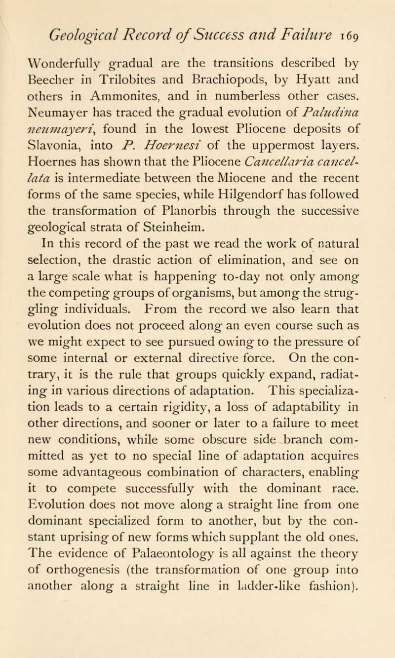 Wonderfully gradual are the transitions described by Beecher in Trilobites and Brachiopods, by Hyatt and others in Ammonites, and in numberless other cases. Neumayer has traced the gradual evolution of Paludina neumayeri, found in the lowest Pliocene deposits of Slavonia, into P. Hoernesi of the uppermost layers. Hoernes has shown that the Pliocene Cancellaria caricel- lata is intermediate between the Miocene and the recent forms of the same species, while Hilgendorf has followed the transformation of Planorbis through the successive geological strata of Steinheim. In this record of the past we read the work of natural selection, the drastic action of elimination, and see on a large scale what is happening to-day not only among the competing groups of organisms, but among the strug¬ gling individuals. From the record we also learn that evolution does not proceed along an even course such as we might expect to see pursued owing to the pressure of some internal or external directive force. On the con¬ trary, it is the rule that groups quickly expand, radiat¬ ing in various directions of adaptation. This specializa¬ tion leads to a certain rigidity, a loss of adaptability in other directions, and sooner or later to a failure to meet new conditions, while some obscure side branch com¬ mitted as yet to no special line of adaptation acquires some advantageous combination of characters, enabling it to compete successfully with the dominant race. Evolution does not move along a straight line from one dominant specialized form to another, but by the con¬ stant uprising of new forms which supplant the old ones. The evidence of Palaeontology is all against the theory of orthogenesis (the transformation of one group into another along a straight line in ladder-like fashion).