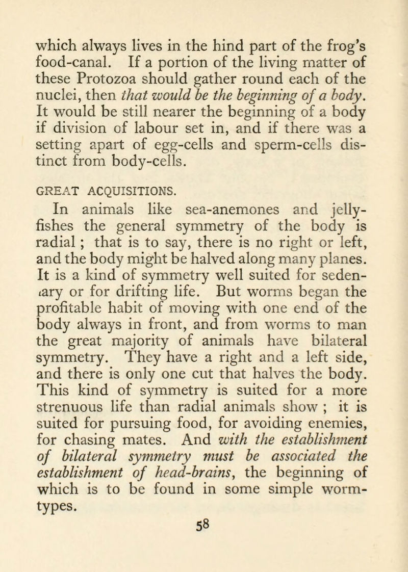 which always lives in the hind part of the frog’s food-canal. If a portion of the living matter of these Protozoa should gather round each of the nuclei, then that would be the beginning of a body. It would be still nearer the beginning of a body if division of labour set in, and if there was a setting apart of egg-cells and sperm-cells dis¬ tinct from body-cells. GREAT ACQUISITIONS. In animals like sea-anemones and jelly¬ fishes the general symmetry of the body is radial ; that is to say, there is no right or left, and the body might be halved along many planes. It is a kind of symmetry well suited for seden¬ tary or for drifting life. But worms began the profitable habit of moving with one end of the body always in front, and from worms to man the great majority of animals have bilateral symmetry. They have a right and a left side, and there is only one cut that halves the body. This kind of symmetry is suited for a more strenuous life than radial animals show ; it is suited for pursuing food, for avoiding enemies, for chasing mates. And with the establishment of bilateral symmetry must be associated the establishment of head-brains, the beginning of which is to be found in some simple worm- types.