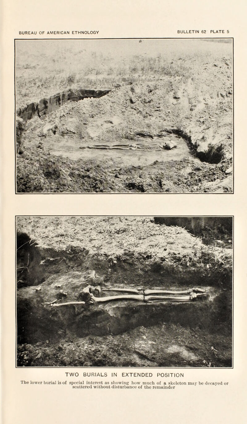 TWO BURIALS IN EXTENDED POSITION The lower burial is of special interest as showing how much of a skeleton may be decayed or scattered without disturbance of the remainder