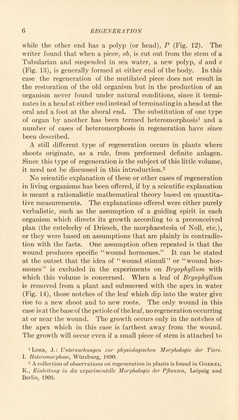 while the other end has a polyp (or head), P (Fig. 12). The writer found that when a piece, ab, is cut out from the stem of a Tubularian and suspended in sea water, a new polyp, d and c (Fig. 13), is generally formed at either end of the body. In this case the regeneration of the mutilated piece does not result in the restoration of the old organism but in the production of an organism never found under natural conditions, since it termi¬ nates in a head at either end instead of terminating in ahead at the oral and a foot at the aboral end. The substitution of one type of organ by another has been termed heteromorphosis1 and a number of cases of heteromorphosis in regeneration have since been described. A still different type of regeneration occurs in plants where shoots originate, as a rule, from preformed definite anlagen. Since this type of regeneration is the subject of this little volume, it need not be discussed in this introduction.2 No scientific explanation of these or other cases of regeneration in living organisms has been offered, if by a scientific explanation is meant a rationalistic mathematical theory based on quantita¬ tive measurements. The explanations offered were either purely verbalistic, such as the assumption of a guiding spirit in each organism which directs its growth according to a preconceived plan (the entelechy of Driesch, the morphaestesia of Noll, etc.), or they were based on assumptions that are plainly in contradic¬ tion with the facts. One assumption often repeated is that the wound produces specific “wound hormones.” It can be stated at the outset that the idea of “wound stimuli” or “wound hor¬ mones” is excluded in the experiments on Bryophyllum with which this volume is concerned. When a leaf of Bryophyllum is removed from a plant and submersed with the apex in water (Fig. 14), those notches of the leaf which dip into the water give rise to a new shoot and to new roots. The only wound in this case is at the base of the petiole of the leaf, no regeneration occurring at or near the wound. The growth occurs only in the notches of the apex which in this case is farthest away from the wound. The growth will occur even if a small piece of stem is attached to 1 Loeb, J.: Untersuchungcn zur phijsiologischen Morphologic der Tiere. I. Heteromorphose, Wurzburg, 1890. 2 A collection of observations on regeneration in plants is found in Goebel, K., Einleitung in die experimcntdle Morphologic der Rflanzen, Leipzig and Berlin, 1908.
