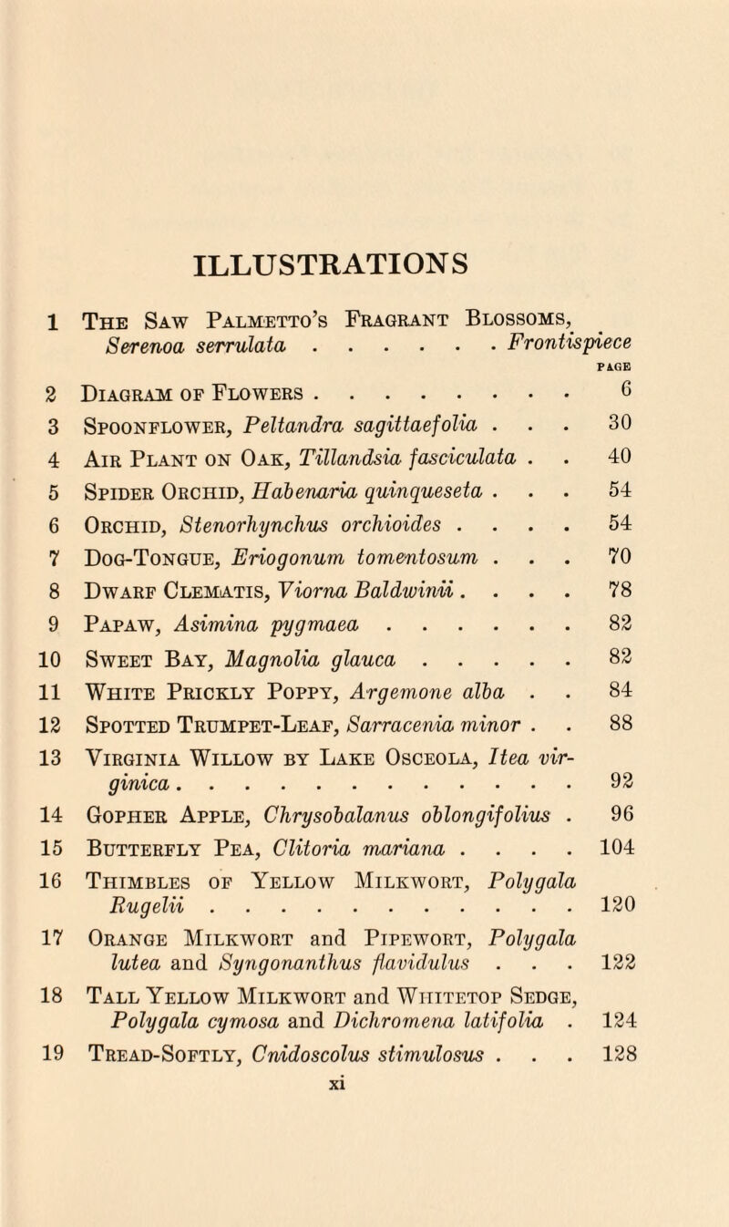 1 2 3 4 5 6 7 8 9 10 11 12 13 14 15 16 17 18 19 ILLUSTRATIONS The Saw Palmetto’s Fragrant Blossoms, Serenoa serrulata.Frontispiece PA.GE Diagram of Flowers. 6 Spoonflower, Peltandra sagittaef olia ... 30 Air Plant on Oak, Tillandsia fasciculata . . 40 Spider Orchid, Habenaria quinqueseta ... 54 Orchid, Stenorhynchm orchioides .... 54 Dog-Tongue, Eriogonum tomentosum ... 70 Dwarf Clematis, Viorna Baldwmii .... 78 Papaw, Asimina pygmaea.82 Sweet Bay, Magnolia glauca.82 White Prickly Poppy, Argemone alba . . 84 Spotted Trumpet-Leaf, Sarracenia minor . . 88 Virginia Willow by Lake Osceola, Itea vir- ginica.92 Gopher Apple, Chrysobalanus oblongifolius . 96 Butterfly Pea, Clitoria mariana .... 104 Thimbles of Yellow Milkwort, Polygala Rugelii.120 Orange Milkwort and Pipewort, Polygala lutea and Syngonanthus flavidulus . . . 122 Tall Yellow Milkwort and Wtiitetop Sedge, Polygala cymosa and Dichromena latifolia . 124 Tread-Softly, Cnidoscolus stimulosus . . . 128