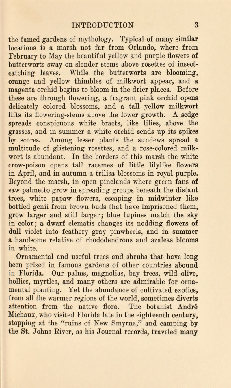 the famed gardens of mythology. Typical of many similar locations is a marsh not far from Orlando, where from February to May the beautiful yellow and purple flowers of butterworts sway on slender stems above rosettes of insect- catching leaves. While the butterworts are blooming, orange and yellow thimbles of milkwort appear, and a magenta orchid begins to bloom in the drier places. Before these are through flowering, a fragrant pink orchid opens delicately colored blossoms, and a tall yellow milkwort lifts its flowering-stems above the lower growth. A sedge spreads conspicuous white bracts, like lilies, above the grasses, and in summer a white orchid sends up its spikes by scores. Among lesser plants the sundews spread a multitude of glistening rosettes, and a rose-colored milk¬ wort is abundant. In the borders of this marsh the white crow-poison opens tall racemes of little lilylike flowers in April, and in autumn a trilisa blossoms in royal purple. Beyond the marsh, in open pinelands where green fans of saw palmetto grow in spreading groups beneath the distant trees, white papaw flowers, escaping in midwinter like bottled genii from brown buds that have imprisoned them, grow larger and still larger; blue lupines match the sky in color; a dwarf clematis changes its nodding flowers of dull violet into feathery gray pinwheels, and in summer a handsome relative of rhododendrons and azaleas blooms in white. Ornamental and useful trees and shrubs that have long been prized in famous gardens of other countries abound in Florida. Our palms, magnolias, bay trees, wild olive, hollies, myrtles, and many others are admirable for orna¬ mental planting. Yet the abundance of cultivated exotics, from all the warmer regions of the world, sometimes diverts attention from the native flora. The botanist Andre Michaux, who visited Florida late in the eighteenth century, stopping at the “ruins of New Smyrna,” and camping by the St. Johns River, as his Journal records, traveled many
