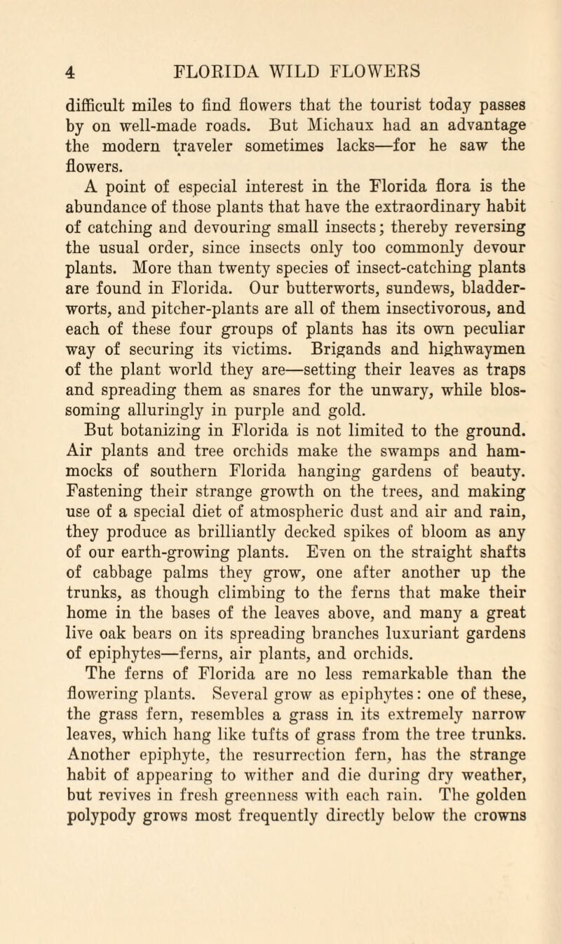 difficult miles to find flowers that the tourist today passes by on well-made roads. But Michaux had an advantage the modern traveler sometimes lacks—for he saw the flowers. A point of especial interest in the Florida flora is the abundance of those plants that have the extraordinary habit of catching and devouring small insects; thereby reversing the usual order, since insects only too commonly devour plants. More than twenty species of insect-catching plants are found in Florida. Our butterworts, sundews, bladder- worts, and pitcher-plants are all of them insectivorous, and each of these four groups of plants has its own peculiar way of securing its victims. Brigands and highwaymen of the plant world they are—setting their leaves as traps and spreading them as snares for the unwary, while blos¬ soming alluringly in purple and gold. But botanizing in Florida is not limited to the ground. Air plants and tree orchids make the swamps and ham¬ mocks of southern Florida hanging gardens of beauty. Fastening their strange growth on the trees, and making use of a special diet of atmospheric dust and air and rain, they produce as brilliantly decked spikes of bloom as any of our earth-growing plants. Even on the straight shafts of cabbage palms they grow, one after another up the trunks, as though climbing to the ferns that make their home in the bases of the leaves above, and many a great live oak bears on its spreading branches luxuriant gardens of epiphytes—ferns, air plants, and orchids. The ferns of Florida are no less remarkable than the flowering plants. Several grow as epiphytes: one of these, the grass fern, resembles a grass in. its extremely narrow leaves, which hang like tufts of grass from the tree trunks. Another epiphyte, the resurrection fern, has the strange habit of appearing to wither and die during dry weather, but revives in fresh greenness with each rain. The golden polypody grows most frequently directly below the crowns