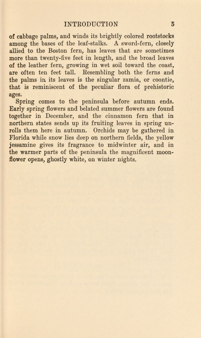 of cabbage palms, and winds its brightly colored rootstocks among the bases of the leaf-stalks. A sword-fern, closely allied to the Boston fern, has leaves that are sometimes more than twenty-five feet in length, and the broad leaves of the leather fern, growing in wet soil toward the coast, are often ten feet tall. Resembling both the ferns and the palms in its leaves is the singular zamia, or coontie, that is reminiscent of the peculiar flora of prehistoric ages. Spring comes to the peninsula before autumn ends. Early spring flowers and belated summer flowers are found together in December, and the cinnamon fern that in northern states sends up its fruiting leaves in spring un¬ rolls them here in autumn. Orchids may be gathered in Florida while snow lies deep on northern fields, the yellow jessamine gives its fragrance to midwinter air, and in the warmer parts of the peninsula the magnificent moon- flower opens, ghostly white, on winter nights.