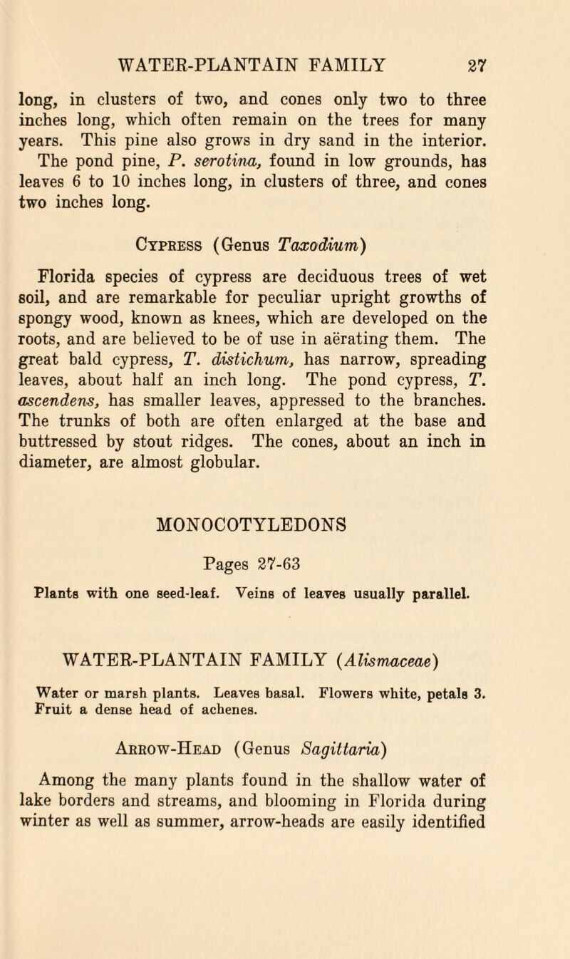 long, in clusters of two, and cones only two to three inches long, which often remain on the trees for many years. This pine also grows in dry sand in the interior. The pond pine, P. serotina, found in low grounds, has leaves 6 to 10 inches long, in clusters of three, and cones two inches long. Cypress (Genus Taxodium) Florida species of cypress are deciduous trees of wet soil, and are remarkable for peculiar upright growths of spongy wood, known as knees, which are developed on the roots, and are believed to be of use in aerating them. The great bald cypress, T. distichum, has narrow, spreading leaves, about half an inch long. The pond cypress, T. ascendens, has smaller leaves, appressed to the branches. The trunks of both are often enlarged at the base and buttressed by stout ridges. The cones, about an inch in diameter, are almost globular. MONOCOTYLEDONS Pages 27-63 Plants with one seed-leaf. Veins of leaves usually parallel. WATER-PLANTAIN FAMILY (Alismaceae) Water or marsh plants. Leaves basal. Flowers white, petals 3. Fruit a dense head of achenes. Arrow-Head (Genus Sagittaria) Among the many plants found in the shallow water of lake borders and streams, and blooming in Florida during winter as well as summer, arrow-heads are easily identified