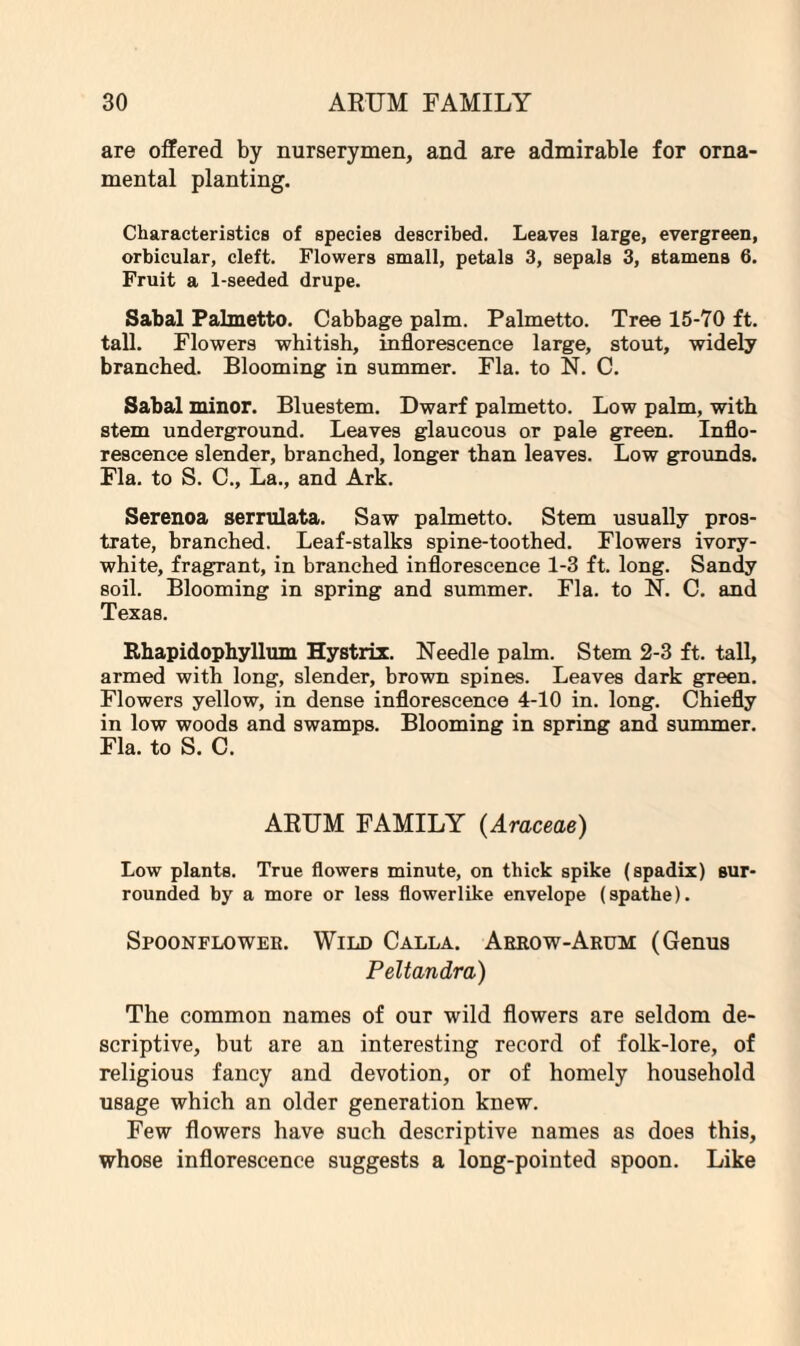 are offered by nurserymen, and are admirable for orna¬ mental planting. Characteristics of species described. Leaves large, evergreen, orbicular, cleft. Flowers small, petals 3, sepals 3, stamens 6. Fruit a 1-seeded drupe. Sabal Palmetto. Cabbage palm. Palmetto. Tree 15-70 ft. tall. Flowers whitish, inflorescence large, stout, widely branched. Blooming in summer. Fla. to N. C. Sabal minor. Bluestem. Dwarf palmetto. Low palm, with stem underground. Leaves glaucous or pale green. Inflo¬ rescence slender, branched, longer than leaves. Low grounds. Fla. to S. C., La., and Ark. Serenoa serrulata. Saw palmetto. Stem usually pros¬ trate, branched. Leaf-stalks spine-toothed. Flowers ivory- white, fragrant, in branched inflorescence 1-3 ft. long. Sandy soil. Blooming in spring and summer. Fla. to N. C. and Texas. Rhapidophyllum Hystrix. Needle palm. Stem 2-3 ft. tall, armed with long, slender, brown spines. Leaves dark green. Flowers yellow, in dense inflorescence 4-10 in. long. Chiefly in low woods and swamps. Blooming in spring and summer. Fla. to S. C. ARUM FAMILY (Araceae) Low plants. True flowers minute, on thick spike (spadix) sur¬ rounded by a more or less flower like envelope (spathe). Spoonflower. Wild Calla. Arrow-Arum (Genus Peltandra) The common names of our wild flowers are seldom de¬ scriptive, but are an interesting record of folk-lore, of religious fancy and devotion, or of homely household usage which an older generation knew. Few flowers have such descriptive names as does this, whose inflorescence suggests a long-pointed spoon. Like