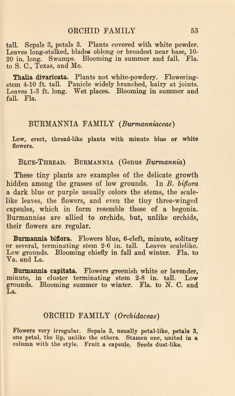 tall. Sepals 3, petals 3. Plants covered with white powder. Leaves long-stalked, blades oblong or broadest near base, 10- 20 in. long. Swamps. Blooming in summer and fall. Fla. to S. C., Texas, and Mo. Thalia divaricata. Plants not white-powdery. Flowering- stem 4-10 ft. tall. Panicle widely branched, hairy at joints. Leaves 1-3 ft. long. Wet places. Blooming in summer and fall. Fla. BURMANNIA FAMILY (Bwmanniaceae) Low, erect, thread-like plants with minute blue or white flowers. Blue-Thread. Burmannia (Genus Burmannia) These tiny plants are examples of the delicate growth hidden among the grasses of low grounds. In B. biflora a dark blue or purple usually colors the stems, the scale¬ like leaves, the flowers, and even the tiny three-winged capsules, which in form resemble those of a begonia. Burmannias are allied to orchids, but, unlike orchids, their flowers are regular. Burmannia biflora. Flowers blue, 6-cleft, minute, solitary or several, terminating stem 2-6 in. tall. Leaves scalelike. Low grounds. Blooming chiefly in fall and winter. Fla. to Ya. and La. Burmannia capitata. Flowers greenish white or lavender, minute, in cluster terminating stem 2-8 in. tall. Low grounds. Blooming summer to winter. Fla. to N. C. and La. OECHID FAMILY (Orchidaceae) Flowers very irregular. Sepals 3, usually petal-like, petals 3, one petal, the lip, unlike the others. Stamen one, united in a column with the style. Fruit a capsule, Seeds dust-like.