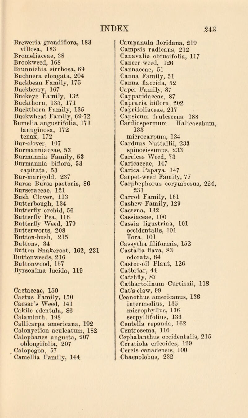 Breweria grandiflora, 183 villoaa, 183 Bromeliaceae, 38 Brookweed, 168 Brunnichia cirrhosa, 69 Buchnera elongata, 204 Buckbean Family, 175 Buekberry, 167 Buckeye Family, 132 Buckthorn, 135, 171 Buckthorn Family, 135 Buckwheat Family, 69-72 Bumelia angustifolia, 171 lanuginosa, 172 tenax, 172 Bur-clover, 107 Burmanniaceae, 53 Burmannia Family, 53 Burmannia biflora, 53 capitata, 53 Bur-marigold, 237 Bursa Bursa-pastoris, 86 Burseraceae, 121 Bush Clover, 113 Butterbough, 134 Butterfly orchid, 56 Butterfly Pea, 116 Butterfly Weed, 179 Butterworts, 208 Button-bush, 215 Buttons, 34 Button Snakeroot, 162, 231 Buttonweeds, 216 Buttonwood, 157 Byrsonima lucida, 119 Cactaceae, 150 Cactus Family, 150 Caesar’s Weed, 141 Cakile edentula, 86 Calaminth, 198 Callicarpa americana, 192 Calonyction aculeatum, 182 Calophanes angusta, 207 oblongifolia, 207 Calopogon, 57 Camellia Family, 144 Campanula floridana, 219 Campsis radicans, 212 Canavalia obtusifolia, 117 Cancer-weed, 126 Cannaceae, 51 Canna Family, 51 Canna flaccida, 52 Caper Family, 87 Capparidaceae, 87 Capraria biflora, 202 Caprifoliaceae, 217 Capsicum frutescens, 188 Cardiospermum Halicacabum, 133 microcarpum, 134 Carduus Nuttallii, 233 spinosissimus, 233 Careless Weed, 73 Caricaceae, 147 Carica Papaya, 147 Carpet-weed Family, 77 Carphephorus corymbosus, 224, 231 Carrot Family, 161 Cashew Family, 129 Cassena, 132 Cassiaceae, 100 Cassia ligustrina, 101 occidentalis, 101 Tora, 101 Cassytha filiformis, 152 Castalia flava, 83 odorata, 84 Castor-oil Plant, 126 Catbriar, 44 Catchfly, 87 Cathartolinum Curtissii, 118 Cat’s-claw, 99 Ceanothus americanus, 136 intermedins, 135 microphyllus, 136 serpyllifolius, 136 Centella repanda, 162 Centrosema, 116 Cephalanthus occidentalis, 215 Ceratiola ericoides, 129 Cercis canadensis, 100 Chaenolobus, 232