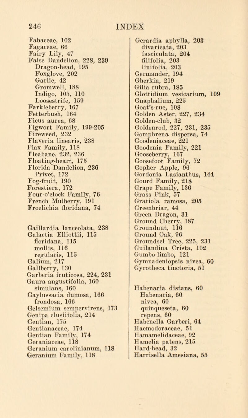 Fabaceae, 102 Fagaceae, 66 Fairy Lily, 47 False Dandelion, 228, 239 Dragon-head, 195 Foxglove, 202 Garlic, 42 Gromwell, 188 Indigo, 105, 110 Loosestrife, 159 Farkleberry, 167 Fetterbush, 164 Ficus aurea, 68 Figwort Family, 199-205 Fireweed, 232 Flaveria linearis, 238 Flax Family, 118 Fleabane, 232, 236 Floating-heart, 175 Florida Dandelion, 236 Privet, 172 Fog-fruit, 190 Forestiera, 172 Four-o’clock Family, 76 French Mulberry, 191 Froelichia floridana, 74 Gaillardia laneeolata, 238 Galactia Elliottii, 115 floridana, 115 mollis, 116 regularis, 115 Galium, 217 Gallberry, 130 Garberia fruticosa, 224, 231 Gaura angustifolia, 160 simulans, 160 Gaylussacia durnosa, 166 frondosa, 166 Gelsemium sempervirens, 173 Genipa clusiifolia, 214 Gentian, 175 Gentianaceae, 174 Gentian Family, 174 Geraniaceae, 118 Geranium carolinianum, 118 Geranium Family, 118 Gerardia aphylla, 203 divaricata, 203 fasciculata, 204 filifolia, 203 linifolia, 203 Germander, 194 Gherkin, 219 Gilia rubra, 185 Glottidium vesicarium, 109 Gnaphalium, 225 Goat’s-rue, 108 Golden Aster, 227, 234 Golden-club, 32 Goldenrod, 227, 231, 235 Gomphrena dispersa, 74 Goodeniaceae, 221 Goodenia Family, 221 Gooseberry, 167 Goosefoot Family, 72 Gopher Apple, 96 Gordonia Lasianthus, 144 Gourd Family, 218 Grape Family, 136 Grass Pink, 57 Gratiola ramosa, 205 Greenbriar, 44 Green Dragon, 31 Ground Cherry, 187 Groundnut, 116 Ground Oak,96 Groundsel Tree, 225, 231 Guilandina Crista, 102 Gumbo-limbo, 121 Gymnadeniopsis nivea, 60 Gyrotheca tinctoria, 51 Habenaria distans, 60 Habenaria, 60 nivea, 60 quinqueseta, 60 repens, 60 Habenella Garberi, 64 Haemodoraceae, 51 Hamamelidaceae, 92 Hamelia patens, 215 Hard-head, 32 Harrisella Amesiana, 55