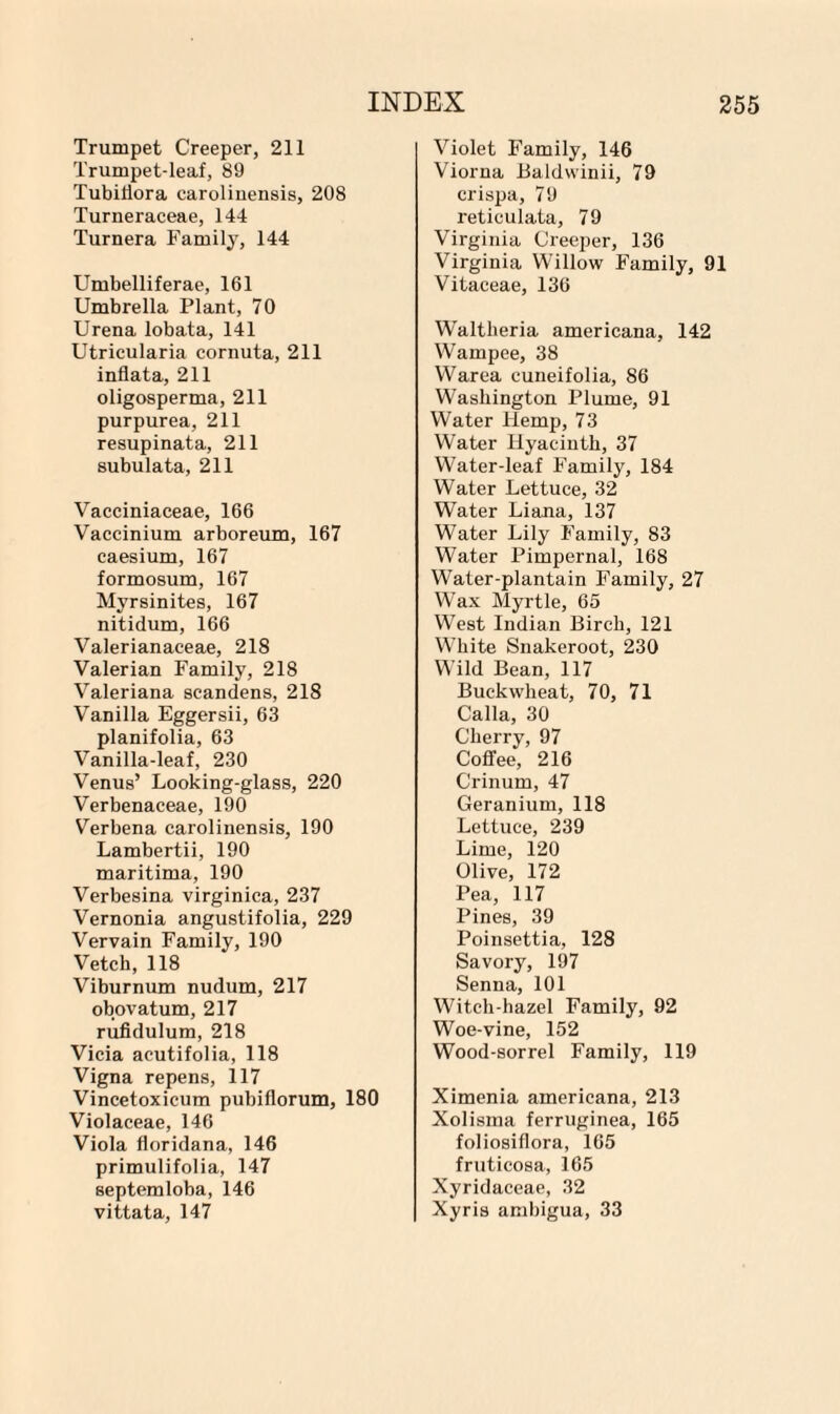 Trumpet Creeper, 211 Trumpet-leaf, 89 Tubiliora caroliuensis, 208 Turneraceae, 144 Turnera Family, 144 Umbelliferae, 161 Umbrella Plant, 70 Urena lobata, 141 Utricularia cornuta, 211 inflata, 211 oligosperma, 211 purpurea, 211 resupinata, 211 subulata, 211 Vacciniaceae, 166 Vaccinium arboreum, 167 caesium, 167 formosum, 167 Myrsinites, 167 nitidum, 166 Valerianaceae, 218 Valerian Family, 218 Valeriana scandens, 218 Vanilla Eggersii, 63 planifolia, 63 Vanilla-leaf, 230 Venus’ Looking-glass, 220 Verbenaceae, 190 Verbena carolinensis, 190 Lambertii, 190 maritima, 190 Verbesina virginica, 237 Vernonia angustifolia, 229 Vervain Family, 190 Vetch, 118 Viburnum nudum, 217 obovatum, 217 rufidulum, 218 Vicia aeutifolia, 118 Vigna repens, 117 Vincetoxicum pubiflorum, 180 Violaceae, 146 Viola floridana, 146 primulifolia, 147 septemloba, 146 vittata, 147 Violet Family, 146 Viorna Baldwinii, 79 crispa, 79 reticulata, 79 Virginia Creeper, 136 Virginia Willow Family, 91 Vitaeeae, 136 Waltheria americana, 142 Wampee, 38 VVarea cuneifolia, 86 Washington Plume, 91 Water Hemp, 73 Water Hyacinth, 37 Water-leaf Family, 184 Water Lettuce, 32 Water Liana, 137 Water Lily Family, 83 Water Pimpernal, 168 Water-plantain Family, 27 Wax Myrtle, 65 West Indian Birch, 121 White Snakeroot, 230 Wild Bean, 117 Buckwheat, 70, 71 Calla, 30 Cherry, 97 Coffee, 216 Crinum, 47 Geranium, 118 Lettuce, 239 Lime, 120 Olive, 172 Pea, 117 Pines, 39 Poinsettia, 128 Savory, 197 Senna, 101 Witch-hazel Family, 92 Woe-vine, 152 Wood-sorrel Family, 119 Ximenia americana, 213 Xolisma ferruginea, 165 foliosiflora, 165 fruticosa, 165 Xyridaceae, 32 Xyris ambigua, 33