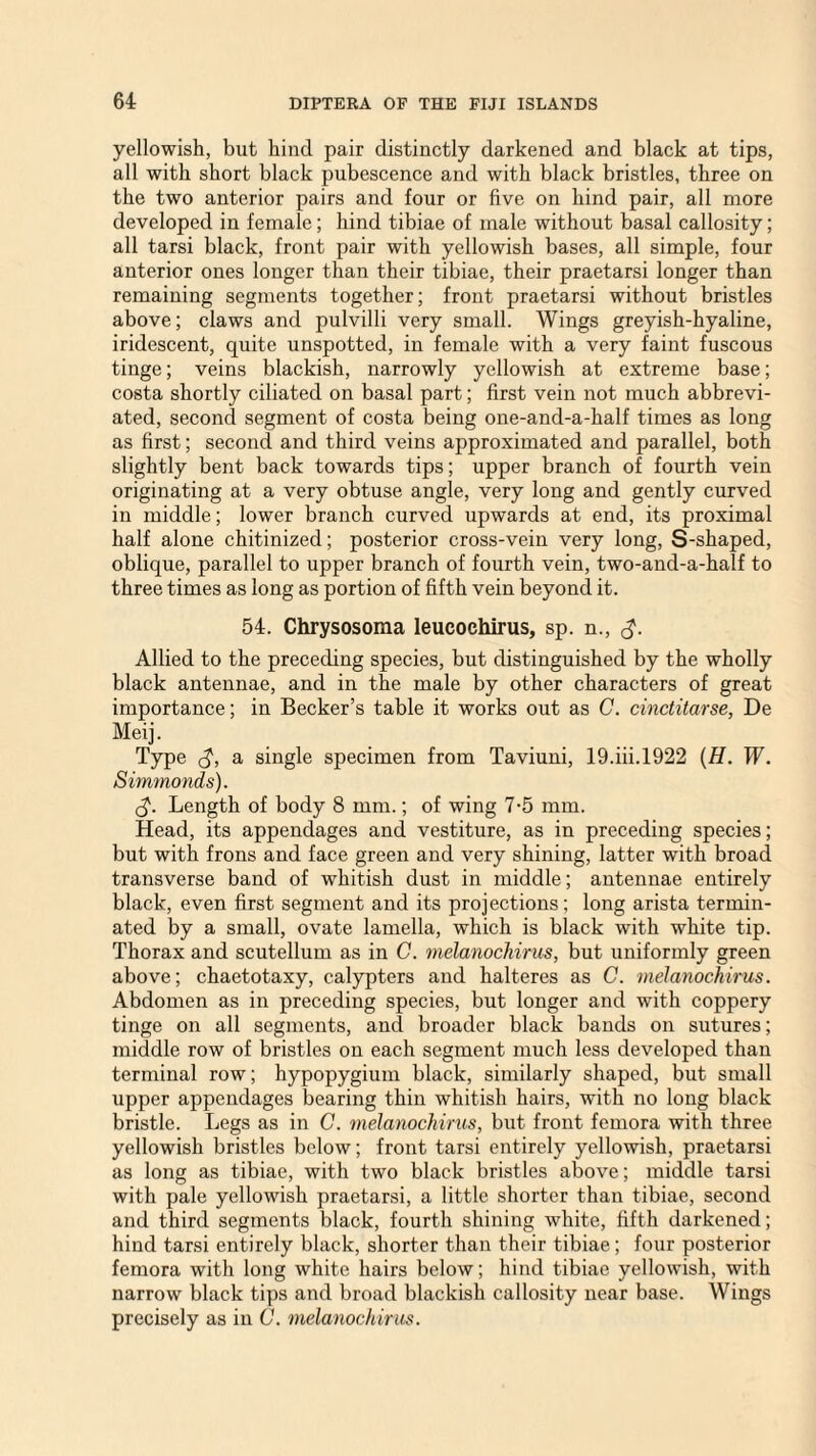 yellowish, but hind pair distinctly darkened and black at tips, all with short black pubescence and with black bristles, three on the two anterior pairs and four or five on hind pair, all more developed in female; hind tibiae of male without basal callosity; all tarsi black, front pair with yellowish bases, all simple, four anterior ones longer than their tibiae, their praetarsi longer than remaining segments together; front praetarsi without bristles above; claws and pulvilli very small. Wings greyish-hyaline, iridescent, quite unspotted, in female with a very faint fuscous tinge; veins blackish, narrowly yellowish at extreme base; costa shortly ciliated on basal part; first vein not much abbrevi¬ ated, second segment of costa being one-and-a-half times as long as first; second and third veins approximated and parallel, both slightly bent back towards tips; upper branch of fourth vein originating at a very obtuse angle, very long and gently curved in middle; lower branch curved upwards at end, its proximal half alone chitinized; posterior cross-vein very long, S-shaped, oblique, parallel to upper branch of fourth vein, two-and-a-half to three times as long as portion of fifth vein beyond it. 54. Chrysosoma leucochirus, sp. n., Allied to the preceding species, but distinguished by the wholly black antennae, and in the male by other characters of great importance; in Becker’s table it works out as C. cinctitarse, De Meij. Type a single specimen from Taviuni, 19.iii.1922 (H. W. Simmonds). 3. Length of body 8 mm.; of wing 7-5 mm. Head, its appendages and vestiture, as in preceding species; but with frons and face green and very shining, latter with broad transverse band of whitish dust in middle; antennae entirely black, even first segment and its projections; long arista termin¬ ated by a small, ovate lamella, which is black with white tip. Thorax and scutellum as in C. melanochirus, but uniformly green above; chaetotaxy, calypters and halteres as C. melanochirus. Abdomen as in preceding species, but longer and with coppery tinge on all segments, and broader black bands on sutures; middle row of bristles on each segment much less developed than terminal row; hypopygium black, similarly shaped, but small upper appendages bearing thin whitish hairs, with no long black bristle. Legs as in C. melanochirus, but front femora with three yellowish bristles below; front tarsi entirely yellowish, praetarsi as long as tibiae, with two black bristles above; middle tarsi with pale yellowish praetarsi, a little shorter than tibiae, second and third segments black, fourth shining white, fifth darkened; hind tarsi entirely black, shorter than their tibiae; four posterior femora with long white hairs below; hind tibiae yellowish, with narrow black tips and broad blackish callosity near base. Wings precisely as in C. melanochirus.