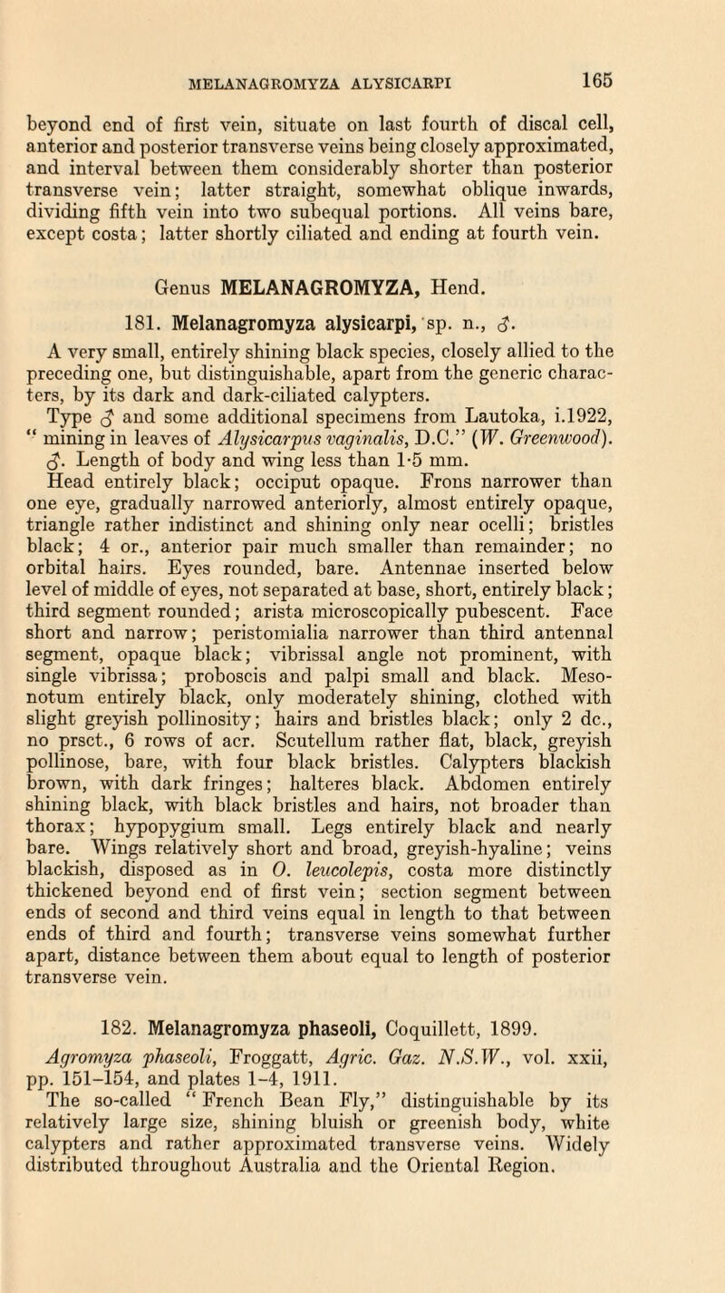 beyond end of first vein, situate on last fourth of discal cell, anterior and posterior transverse veins being closely approximated, and interval between them considerably shorter than posterior transverse vein; latter straight, somewhat oblique inwards, dividing fifth vein into two subequal portions. All veins bare, except costa; latter shortly ciliated and ending at fourth vein. Genus MELANAGROMYZA, Hend. 181. Melanagromyza alysicarpi, sp. n., d- A very small, entirely shining black species, closely allied to the preceding one, but distinguishable, apart from the generic charac¬ ters, by its dark and dark-ciliated calypters. Type and some additional specimens from Lautoka, i. 1922, “ mining in leaves of Alysicarpus vaginalis, D.C.” (IF. Greenwood). Length of body and wing less than 1-5 mm. Head entirely black; occiput opaque. Frons narrower than one eye, gradually narrowed anteriorly, almost entirely opaque, triangle rather indistinct and shining only near ocelli; bristles black; 4 or., anterior pair much smaller than remainder; no orbital hairs. Eyes rounded, bare. Antennae inserted below level of middle of eyes, not separated at base, short, entirely black; third segment rounded; arista microscopically pubescent. Face short and narrow; peristomialia narrower than third antennal segment, opaque black; vibrissal angle not prominent, with single vibrissa; proboscis and palpi small and black. Meso- notum entirely black, only moderately shining, clothed with slight greyish pollinosity; hairs and bristles black; only 2 dc., no prsct., 6 rows of acr. Scutellum rather flat, black, greyish pollinose, bare, with four black bristles. Calypters blackish brown, with dark fringes; halteres black. Abdomen entirely shining black, with black bristles and hairs, not broader than thorax; hypopygium small. Legs entirely black and nearly bare. Wings relatively short and broad, greyish-hyaline; veins blackish, disposed as in 0. leucolepis, costa more distinctly thickened beyond end of first vein; section segment between ends of second and third veins equal in length to that between ends of third and fourth; transverse veins somewhat further apart, distance between them about equal to length of posterior transverse vein. 182. Melanagromyza phaseoli, Coquillett, 1899. Agromyza phaseoli, Froggatt, Agric. Gaz. N.S.W., vol. xxii, pp. 151-154, and plates 1-4, 1911. The so-called “ French Bean Fly,” distinguishable by its relatively large size, shining bluish or greenish body, white calypters and rather approximated transverse veins. Widely distributed throughout Australia and the Oriental Region.