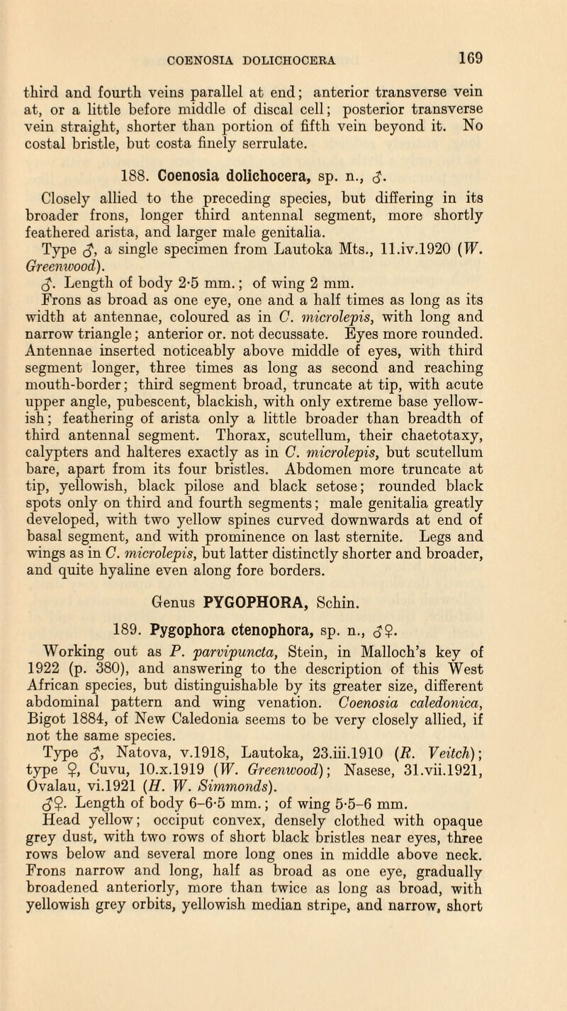 third and fourth veins parallel at end; anterior transverse vein at, or a little before middle of discal cell; posterior transverse vein straight, shorter than portion of fifth vein beyond it. No costal bristle, but costa finely serrulate. 188. Coenosia dolichocera, sp. n., d- Closely allied to the preceding species, but differing in its broader frons, longer third antennal segment, more shortly feathered arista, and larger male genitalia. Type d\ a single specimen from Lautoka Mts., 11.iv.1920 (W. Greenwood). d- Length of body 2-5 mm.; of wing 2 mm. Frons as broad as one eye, one and a half times as long as its width at antennae, coloured as in C. microlepis, with long and narrow triangle; anterior or. not decussate. Eyes more rounded. Antennae inserted noticeably above middle of eyes, with third segment longer, three times as long as second and reaching mouth-border; third segment broad, truncate at tip, with acute upper angle, pubescent, blackish, with only extreme base yellow¬ ish; feathering of arista only a little broader than breadth of third antennal segment. Thorax, scutellum, their chaetotaxy, calypters and halteres exactly as in C. microlepis, but scutellum bare, apart from its four bristles. Abdomen more truncate at tip, yellowish, black pilose and black setose; rounded black spots only on third and fourth segments; male genitalia greatly developed, with two yellow spines curved downwards at end of basal segment, and with prominence on last sternite. Legs and wings as in C. microlepis, but latter distinctly shorter and broader, and quite hyaline even along fore borders. Genus PYGOPHORA, Schin. 189. Pygophora ctenophora, sp. n., d?- Working out as P. parvipuncta, Stein, in Malloch’s key of 1922 (p. 380), and answering to the description of this West African species, but distinguishable by its greater size, different abdominal pattern and wing venation. Coenosia caledonica, Bigot 1884, of New Caledonia seems to be very closely allied, if not the same species. Type d, Natova, v.1918, Lautoka, 23.iii.1910 (R. Veitch); type $, Cuvu, lO.x.1919 (W. Greenwood); Nasese, 31.vii.1921, Ovalau, vi.1921 (H. W. Simmonds). <d?- Length of body 6-6-5 mm.; of wing 5-5-6 mm. Head yellow; occiput convex, densely clothed with opaque grey dust, with two rows of short black bristles near eyes, three rows below and several more long ones in middle above neck. Frons narrow and long, half as broad as one eye, gradually broadened anteriorly, more than twice as long as broad, with yellowish grey orbits, yellowish median stripe, and narrow, short