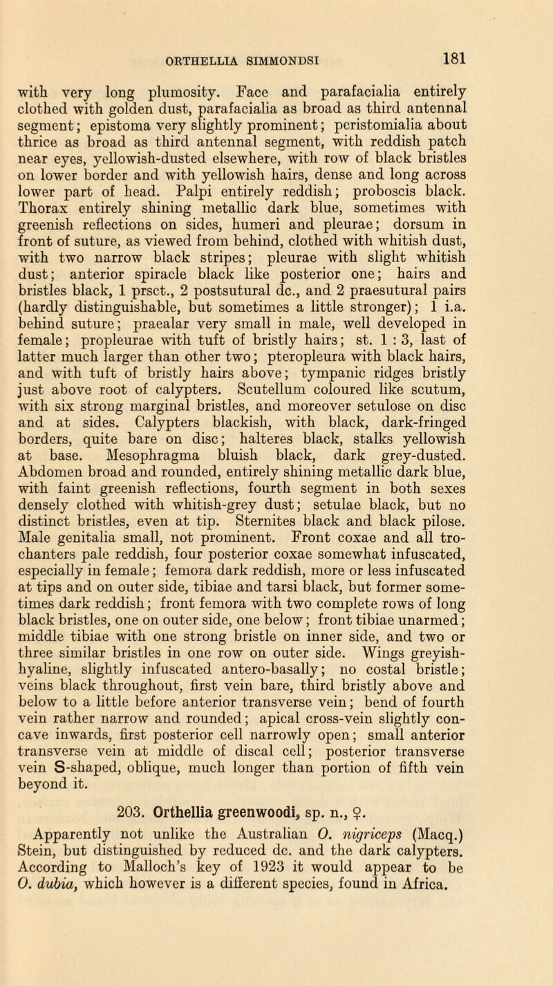 with very long plumosity. Face and parafacialia entirely clothed with golden dust, parafacialia as broad as third antennal segment; epistoma very slightly prominent; peristomialia about thrice as broad as third antennal segment, with reddish patch near eyes, yellowish-dusted elsewhere, with row of black bristles on lower border and with yellowish hairs, dense and long across lower part of head. Palpi entirely reddish; proboscis black. Thorax entirely shining metallic dark blue, sometimes with greenish reflections on sides, humeri and pleurae; dorsum in front of suture, as viewed from behind, clothed with whitish dust, with two narrow black stripes; pleurae with slight whitish dust; anterior spiracle black like posterior one; hairs and bristles black, 1 prsct., 2 postsutural dc., and 2 praesutural pairs (hardly distinguishable, but sometimes a little stronger); 1 i.a. behind suture; praealar very small in male, well developed in female; propleurae with tuft of bristly hairs; st. 1 : 3, last of latter much larger than other two; pteropleura with black hairs, and with tuft of bristly hairs above; tympanic ridges bristly just above root of calypters. Scutellum coloured like scutum, with six strong marginal bristles, and moreover setulose on disc and at sides. Calypters blackish, with black, dark-fringed borders, quite bare on disc; halteres black, stalks yellowish at base. Mesophragma bluish black, dark grey-dusted. Abdomen broad and rounded, entirely shining metallic dark blue, with faint greenish reflections, fourth segment in both sexes densely clothed with whitish-grey dust; setulae black, but no distinct bristles, even at tip. Sternites black and black pilose. Male genitalia small, not prominent. Front coxae and all tro¬ chanters pale reddish, four posterior coxae somewhat infuscated, especially in female; femora dark reddish, more or less infuscated at tips and on outer side, tibiae and tarsi black, but former some¬ times dark reddish; front femora with two complete rows of long black bristles, one on outer side, one below; front tibiae unarmed; middle tibiae with one strong bristle on inner side, and two or three similar bristles in one row on outer side. Wings greyish- hyaline, slightly infuscated antero-basally; no costal bristle; veins black throughout, first vein bare, third bristly above and below to a little before anterior transverse vein; bend of fourth vein rather narrow and rounded; apical cross-vein slightly con¬ cave inwards, first posterior cell narrowly open; small anterior transverse vein at middle of discal cell; posterior transverse vein S-shaped, oblique, much longer than portion of fifth vein beyond it. 203. Orthellia greenwoodi, sp. n., $. Apparently not unlike the Australian 0. nigriceps (Macq.) Stein, but distinguished by reduced dc. and the dark calypters. According to Malloch’s key of 1923 it would appear to be 0. dubia, which however is a different species, found in Africa.