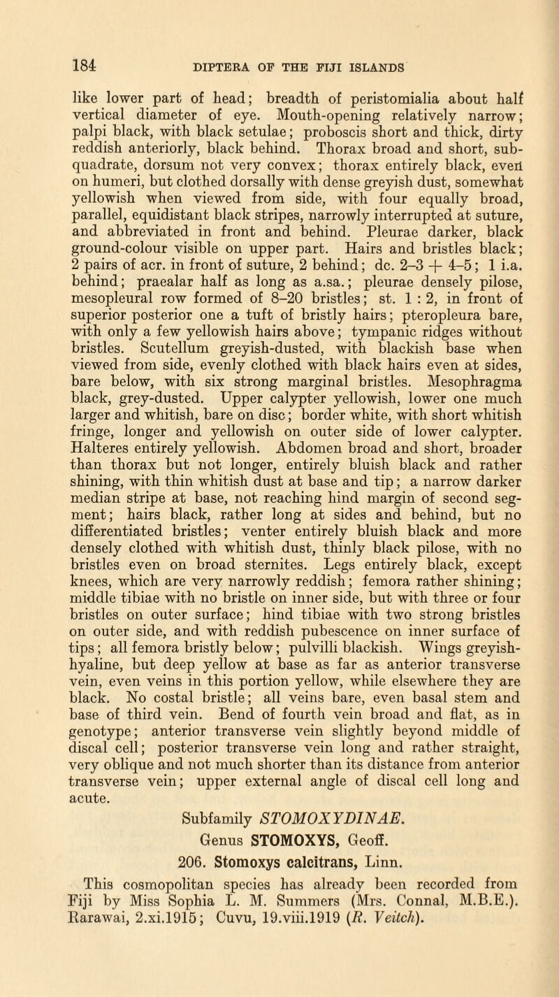 like lower part of head; breadth of peristomialia about half vertical diameter of eye. Mouth-opening relatively narrow; palpi black, with black setulae; proboscis short and thick, dirty reddish anteriorly, black behind. Thorax broad and short, sub- quadrate, dorsum not very convex; thorax entirely black, even on humeri, but clothed dorsally with dense greyish dust, somewhat yellowish when viewed from side, with four equally broad, parallel, equidistant black stripes, narrowly interrupted at suture, and abbreviated in front and behind. Pleurae darker, black ground-colour visible on upper part. Hairs and bristles black; 2 pairs of acr. in front of suture, 2 behind; dc. 2-3 + 4-5; 1 i.a. behind; praealar half as long as a.sa.; pleurae densely pilose, mesopleural row formed of 8-20 bristles; st. 1 : 2, in front of superior posterior one a tuft of bristly hairs; pteropleura bare, with only a few yellowish hairs above; tympanic ridges without bristles. Scutellum greyish-dusted, with blackish base when viewed from side, evenly clothed with black hairs even at sides, bare below, with six strong marginal bristles. Mesophragma black, grey-dusted. Upper calypter yellowish, lower one much larger and whitish, bare on disc; border white, with short whitish fringe, longer and yellowish on outer side of lower calypter. Halteres entirely yellowish. Abdomen broad and short, broader than thorax but not longer, entirely bluish black and rather shining, with thin whitish dust at base and tip; a narrow darker median stripe at base, not reaching hind margin of second seg¬ ment; hairs black, rather long at sides and behind, but no differentiated bristles; venter entirely bluish black and more densely clothed with whitish dust, thinly black pilose, with no bristles even on broad sternites. Legs entirely black, except knees, which are very narrowly reddish; femora rather shining; middle tibiae with no bristle on inner side, but with three or four bristles on outer surface; hind tibiae with two strong bristles on outer side, and with reddish pubescence on inner surface of tips; all femora bristly below; pulvilli blackish. Wings greyish- hyaline, but deep yellow at base as far as anterior transverse vein, even veins in this portion yellow, while elsewhere they are black. No costal bristle; all veins bare, even basal stem and base of third vein. Bend of fourth vein broad and flat, as in genotype; anterior transverse vein slightly beyond middle of discal cell; posterior transverse vein long and rather straight, very oblique and not much shorter than its distance from anterior transverse vein; upper external angle of discal cell long and acute. Subfamily STOMOXYDINAE. Genus STOMOXYS, Geoff. 206. Stomoxys calcitrans, Linn. This cosmopolitan species has already been recorded from Fiji by Miss Sophia L. M. Summers (Mrs. Connal, M.B.E.). Rarawai, 2.xi.l915; Cuvu, 19.viii.1919 (/?. Veitch).