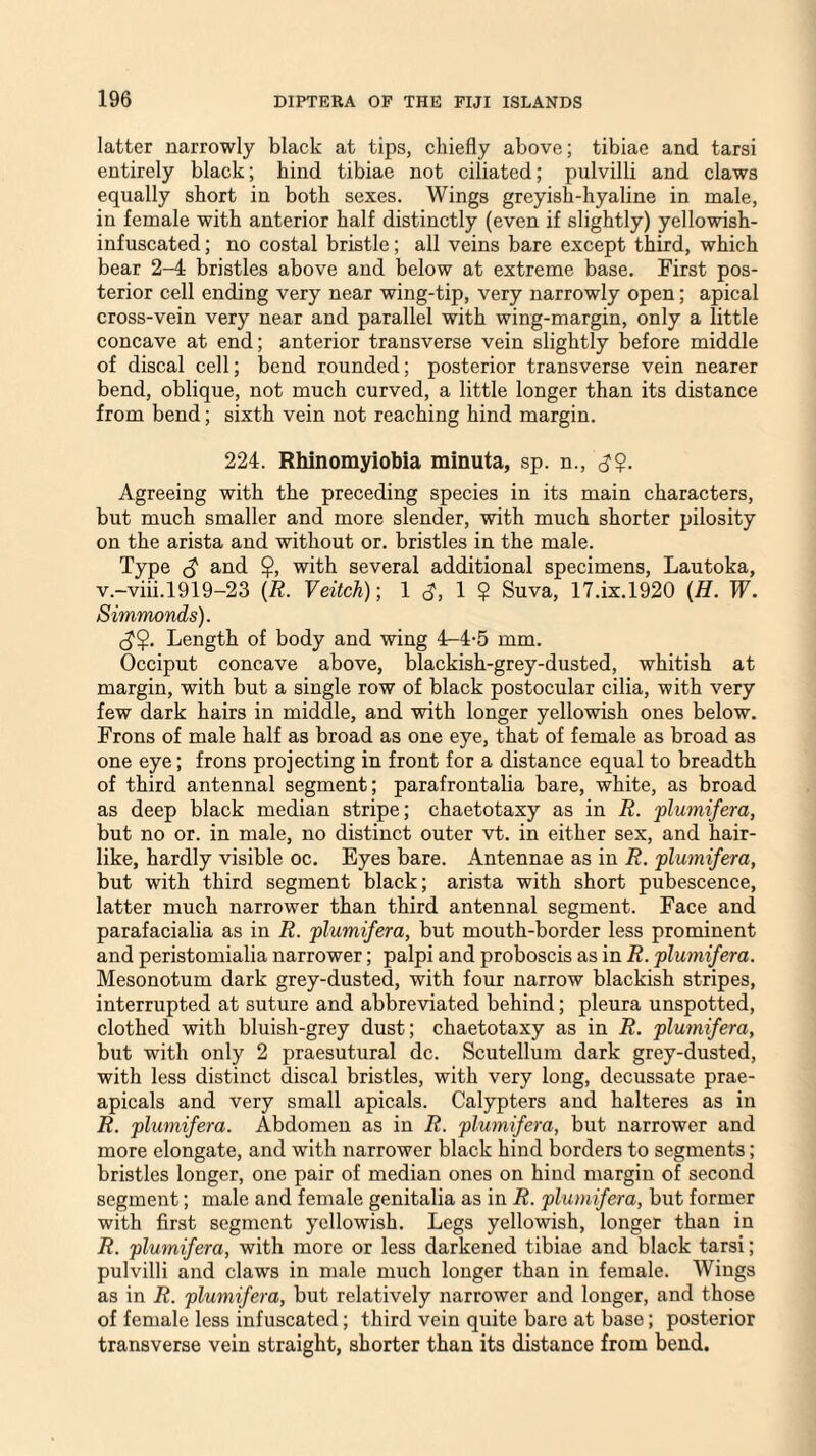 latter narrowly black at tips, chiefly above; tibiae and tarsi entirely black; hind tibiae not ciliated; pulvilli and claws equally short in both sexes. Wings greyish-hyaline in male, in female with anterior half distinctly (even if slightly) yellowish- infuscated; no costal bristle; all veins bare except third, which bear 2-4 bristles above and below at extreme base. First pos¬ terior cell ending very near wing-tip, very narrowly open; apical cross-vein very near and parallel with wing-margin, only a Little concave at end; anterior transverse vein slightly before middle of discal cell; bend rounded; posterior transverse vein nearer bend, oblique, not much curved, a little longer than its distance from bend; sixth vein not reaching hind margin. 224. Rhinomyiobia minuta, sp. n., d?- Agreeing with the preceding species in its main characters, but much smaller and more slender, with much shorter pilosity on the arista and without or. bristles in the male. Type <$ and <j?» with several additional specimens, Lautoka, v.-viii.1919-23 (R. Veitch)\ 1 <J, 1 $ Suva, 17.ix.1920 (H. W. Simmonds). Length of body and wing 4-4-5 mm. Occiput concave above, blackish-grey-dusted, whitish at margin, with but a single row of black postocular cilia, with very few dark hairs in middle, and with longer yellowish ones below. Frons of male half as broad as one eye, that of female as broad as one eye; frons projecting in front for a distance equal to breadth of third antennal segment; parafrontalia bare, white, as broad as deep black median stripe; chaetotaxy as in R. plumifera, but no or. in male, no distinct outer vt. in either sex, and hair- like, hardly visible oc. Eyes bare. Antennae as in R. plumifera, but with third segment black; arista with short pubescence, latter much narrower than third antennal segment. Face and parafacialia as in R. plumifera, but mouth-border less prominent and peristomialia narrower; palpi and proboscis as in R. plumifera. Mesonotum dark grey-dusted, with four narrow blackish stripes, interrupted at suture and abbreviated behind; pleura unspotted, clothed with bluish-grey dust; chaetotaxy as in R. plumifera, but with only 2 praesutural dc. Scutellum dark grey-dusted, with less distinct discal bristles, with very long, decussate prae- apicals and very small apicals. Calypters and halteres as in R. plumifera. Abdomen as in R. plumifera, but narrower and more elongate, and with narrower black hind borders to segments; bristles longer, one pair of median ones on hind margin of second segment; male and female genitalia as in R. plumifera, but former with first segment yellowish. Legs yellowish, longer than in R. plumifera, with more or less darkened tibiae and black tarsi; pulvilli and claws in male much longer than in female. Wings as in R. plumifera, but relatively narrower and longer, and those of female less infuscated; third vein quite bare at base; posterior transverse vein straight, shorter than its distance from bend.