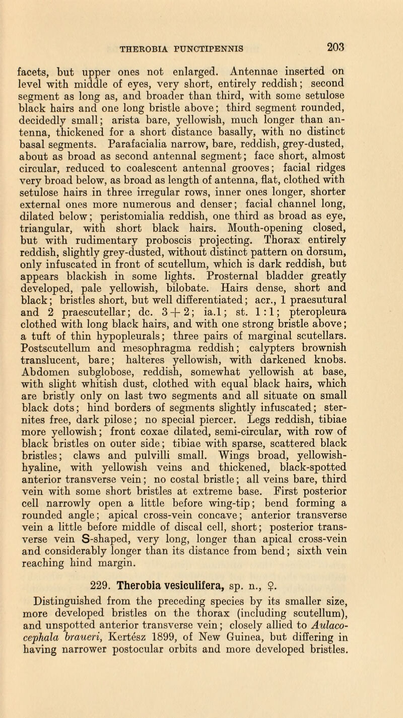 facets, but upper ones not enlarged. Antennae inserted on level with middle of eyes, very short, entirely reddish; second segment as long as, and broader than third, with some setulose black hairs and one long bristle above; third segment rounded, decidedly small; arista bare, yellowish, much longer than an¬ tenna, thickened for a short distance basally, with no distinct basal segments. Parafacialia narrow, bare, reddish, grey-dusted, about as broad as second antennal segment; face short, almost circular, reduced to coalescent antennal grooves; facial ridges very broad below, as broad as length of antenna, flat, clothed with setulose hairs in three irregular rows, inner ones longer, shorter external ones more numerous and denser; facial channel long, dilated below; peristomialia reddish, one third as broad as eye, triangular, with short black hairs. Mouth-opening closed, but with rudimentary proboscis projecting. Thorax entirely reddish, slightly grey-dusted, without distinct pattern on dorsum, only infuscated in front of scutellum, which is dark reddish, but appears blackish in some lights. Prosternal bladder greatly developed, pale yellowish, bilobate. Hairs dense, short and black; bristles short, but well differentiated; acr., 1 praesutural and 2 praescutellar; dc. 3 + 2; ia.l; st. 1:1; pteropleura clothed with long black hairs, and with one strong bristle above; a tuft of thin hypopleurals; three pairs of marginal scutellars. Postscutellum and mesophragma reddish; calypters brownish translucent, bare; halteres yellowish, with darkened knobs. Abdomen subglobose, reddish, somewhat yellowish at base, with slight whitish dust, clothed with equal black hairs, which are bristly only on last two segments and all situate on small black dots; hind borders of segments slightly infuscated; ster- nites free, dark pilose; no special piercer. Legs reddish, tibiae more yellowish; front coxae dilated, semi-circular, with row of black bristles on outer side; tibiae with sparse, scattered black bristles; claws and pulvilli small. Wings broad, yellowish- hyaline, with yellowish veins and thickened, black-spotted anterior transverse vein; no costal bristle; all veins bare, third vein with some short bristles at extreme base. First posterior cell narrowly open a little before wing-tip; bend forming a rounded angle; apical cross-vein concave; anterior transverse vein a little before middle of discal cell, short; posterior trans¬ verse vein S-shaped, very long, longer than apical cross-vein and considerably longer than its distance from bend; sixth vein reaching hind margin. 229. Therobia vesiculifera, sp. n., $. Distinguished from the preceding species by its smaller size, more developed bristles on the thorax (including scutellum), and unspotted anterior transverse vein; closely allied to Aulaco- cephala braueri, Ivertesz 1899, of New Guinea, but differing in having narrower postocular orbits and more developed bristles.