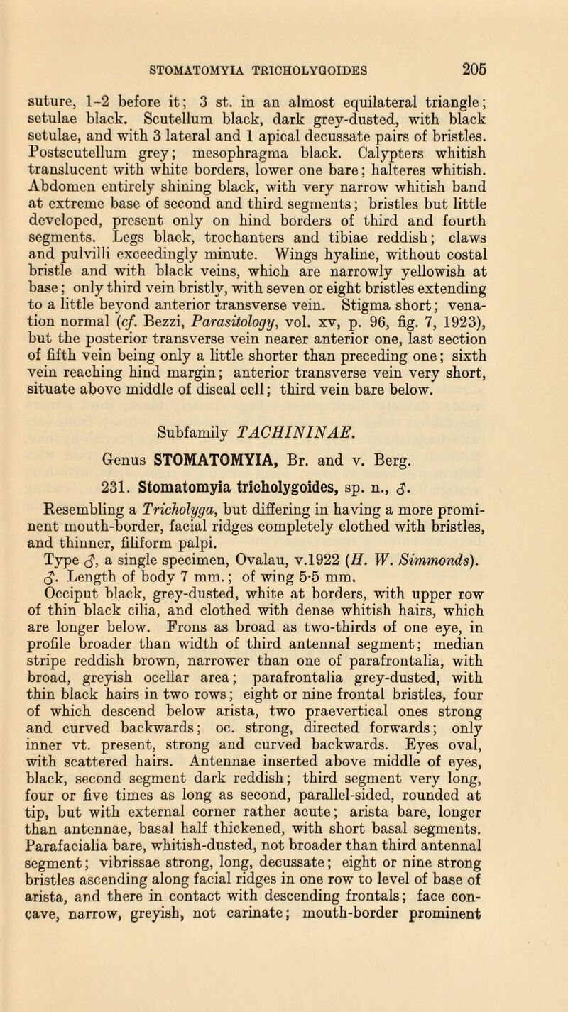 suture, 1-2 before it; 3 st. in an almost equilateral triangle; setulae black. Scutellum black, dark grey-dusted, with black setulae, and with 3 lateral and 1 apical decussate pairs of bristles. Postscutellum grey; mesophragma black. Calypters whitish translucent with white borders, lower one bare; halteres whitish. Abdomen entirely shining black, with very narrow whitish band at extreme base of second and third segments; bristles but little developed, present only on hind borders of third and fourth segments. Legs black, trochanters and tibiae reddish; claws and pulvilli exceedingly minute. Wings hyaline, without costal bristle and with black veins, which are narrowly yellowish at base; only third vein bristly, with seven or eight bristles extending to a little beyond anterior transverse vein. Stigma short; vena¬ tion normal (c/. Bezzi, Parasitology, vol. xv, p. 96, fig. 7, 1923), but the posterior transverse vein nearer anterior one, last section of fifth vein being only a little shorter than preceding one; sixth vein reaching hind margin; anterior transverse vein very short, situate above middle of discal cell; third vein bare below. Subfamily TACHININAE. Genus STOMATOMYIA, Br. and v. Berg. 231. Stomatomyia tricholygoides, sp. n., <J. Resembling a Tricholyga, but differing in having a more promi¬ nent mouth-border, facial ridges completely clothed with bristles, and thinner, filiform palpi. Type (J, a single specimen, Ovalau, v.1922 (H. W. Simmonds). <$. Length of body 7 mm.; of wing 5-5 mm. Occiput black, grey-dusted, white at borders, with upper row of thin black cilia, and clothed with dense whitish hairs, which are longer below. Frons as broad as two-thirds of one eye, in profile broader than width of third antennal segment; median stripe reddish brown, narrower than one of parafrontalia, with broad, greyish ocellar area; parafrontalia grey-dusted, with thin black hairs in two rows; eight or nine frontal bristles, four of which descend below arista, two praevertical ones strong and curved backwards; oc. strong, directed forwards; only inner vt. present, strong and curved backwards. Eyes oval, with scattered hairs. Antennae inserted above middle of eyes, black, second segment dark reddish; third segment very long, four or five times as long as second, parallel-sided, rounded at tip, but with external corner rather acute; arista bare, longer than antennae, basal half thickened, with short basal segments. Parafacialia bare, whitish-dusted, not broader than third antennal segment; vibrissae strong, long, decussate; eight or nine strong bristles ascending along facial ridges in one row to level of base of arista, and there in contact with descending frontals; face con¬ cave, narrow, greyish, not carinate; mouth-border prominent