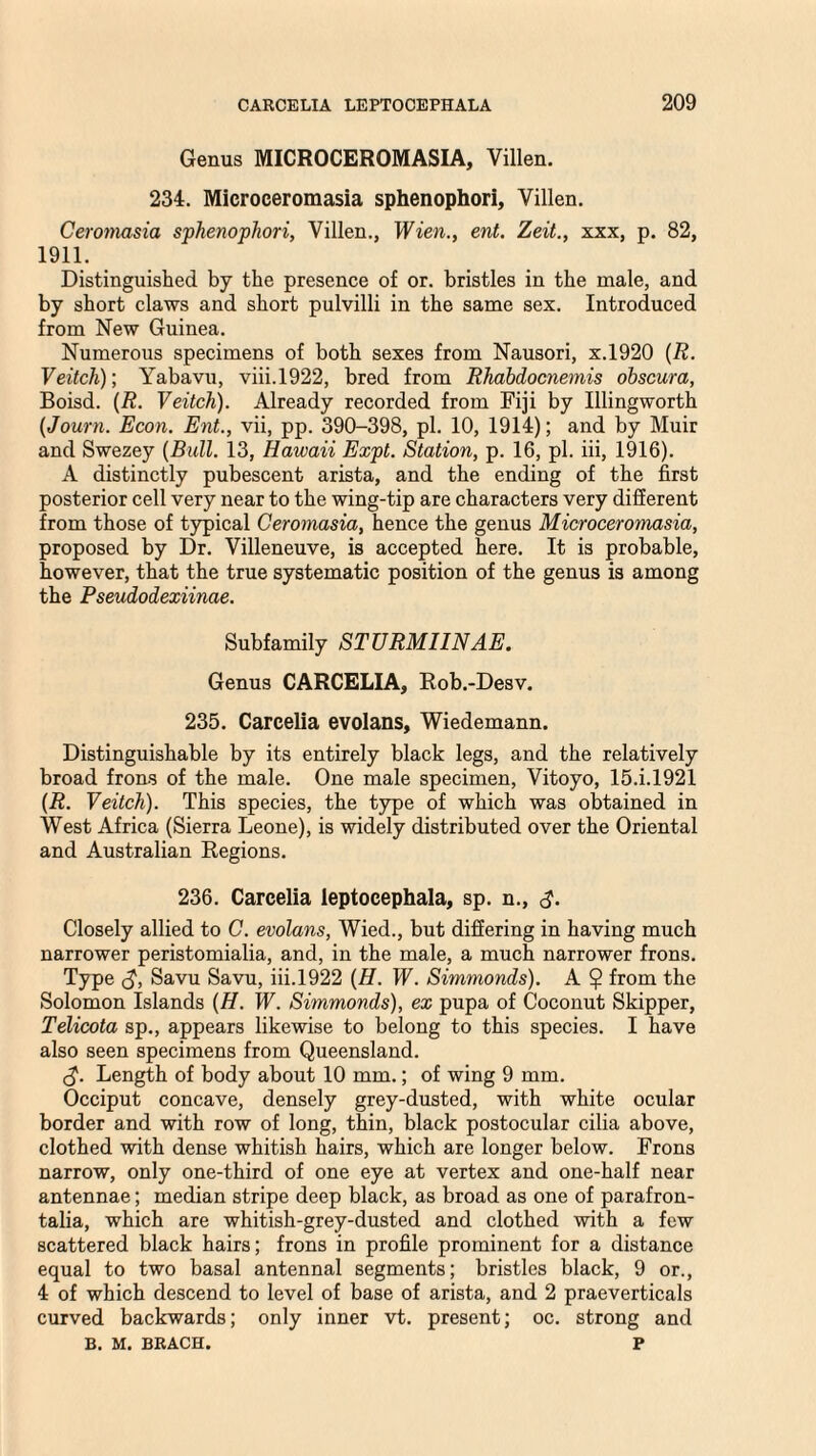 Genus MICROCEROMASIA, Villen. 234. Mieroceromasia sphenophori, Villen. Ceromasia sphenophori, Villen., Wien., ent. Zeit., xxx, p. 82, 1911. Distinguished by the presence of or. bristles in the male, and by short claws and short pulvilli in the same sex. Introduced from New Guinea. Numerous specimens of both sexes from Nausori, x.1920 (R. Veitcli); Yabavu, viii.1922, bred from Rhabdocnemis obscura, Boisd. (R. Veitch). Already recorded from Fiji by Illingworth (Journ. Econ. Ent., vii, pp. 390-398, pi. 10, 1914); and by Muir and Swezey [Bull. 13, Hawaii Expt. Station, p. 16, pi. iii, 1916). A distinctly pubescent arista, and the ending of the first posterior cell very near to the wing-tip are characters very different from those of typical Ceromasia, hence the genus Mieroceromasia, proposed by Dr. Villeneuve, is accepted here. It is probable, however, that the true systematic position of the genus is among the Pseudodexiinae. Subfamily STURMIINAE. Genus CARCELIA, Rob.-Desv. 235. Carcelia evolans, Wiedemann. Distinguishable by its entirely black legs, and the relatively broad frons of the male. One male specimen, Vitoyo, 15.i.l921 (R. Veitch). This species, the type of which was obtained in West Africa (Sierra Leone), is widely distributed over the Oriental and Australian Regions. 236. Carcelia leptocephala, sp. n., Closely allied to C. evolans, Wied., but differing in having much narrower peristomialia, and, in the male, a much narrower frons. Type <$, Savu Savu, iii. 1922 (H. W. Simmonds). A $ from the Solomon Islands (H. W. Simmonds), ex pupa of Coconut Skipper, Telicota sp., appears likewise to belong to this species. I have also seen specimens from Queensland. cL Length of body about 10 mm.; of wing 9 mm. Occiput concave, densely grey-dusted, with white ocular border and with row of long, thin, black postocular cilia above, clothed with dense whitish hairs, which are longer below. Frons narrow, only one-third of one eye at vertex and one-half near antennae; median stripe deep black, as broad as one of parafron- talia, which are whitish-grey-dusted and clothed with a few scattered black hairs; frons in profile prominent for a distance equal to two basal antennal segments; bristles black, 9 or., 4 of which descend to level of base of arista, and 2 praeverticals curved backwards; only inner vt. present; oc. strong and B. M. BRACH. P