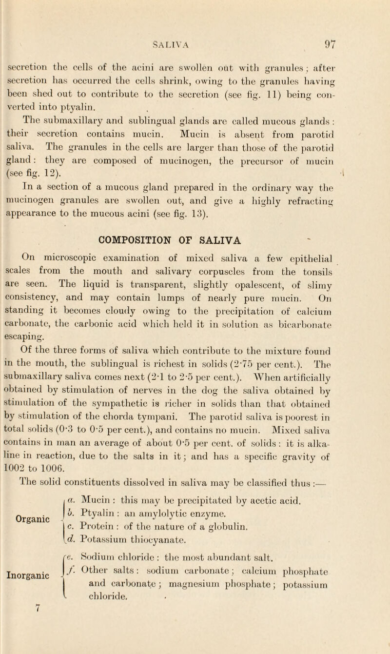 secretion the cells of the acini are swollen out with granules ; after secretion has occurred the cells shrink, owing to the granules having been shed out to contribute to the secretion (see fig. 11) being con¬ verted into ptyalin. The submaxillary and sublingual glands are called mucous glands : their secretion contains mucin. Mucin is absent from parotid saliva. The granules in the cells are larger than those of the parotid gland: they are composed of mucinogen, the precursor of mucin (see fig. 12). In a section of a mucous gland prepared in the ordinary way the mucinogen granules are swollen out, and give a highly refracting appearance to the mucous acini (see fig. 13). COMPOSITION OF SALIVA On microscopic examination of mixed saliva a few epithelial scales from the mouth and salivary corpuscles from the tonsils are seen. The liquid is transparent, slightly opalescent, of slimy consistency, and may contain lumps of nearly pure mucin. On standing it becomes cloudy owing to the precipitation of calcium carbonate, the carbonic acid which held it in solution as bicarbonate escaping. Of the three forms of saliva which contribute to the mixture found in the mouth, the sublingual is richest in solids (2‘75 per cent.). The submaxillary saliva comes next (2T to 2-5 per cent-.). When artificially obtained by stimulation of nerves in the dog the saliva obtained by stimulation of the sympathetic is richer in solids than that obtained by stimulation of the chorda tympani. The parotid saliva is poorest in total solids (0-3 to 05 per cent.), and contains no mucin. Mixed saliva contains in man an average of about 05 per cent, of solids : it is alka¬ line in reaction, due to the salts in it; and has a specific gravity of 1002 to 1006. The solid constituents dissolved in saliva may be classified thus:— Organic Inorganic a. Mucin : this may be precipitated by acetic acid. o. Ptyalin : an amylolytic enzyme. 1 c. Protein : of the nature of a globulin. \d. Potassium thiocyanate. 'e. Sodium chloride : the most abundant salt. J. Other salts: sodium carbonate; calcium phosphate and carbonate; magnesium phosphate; potassium - chloride. 7