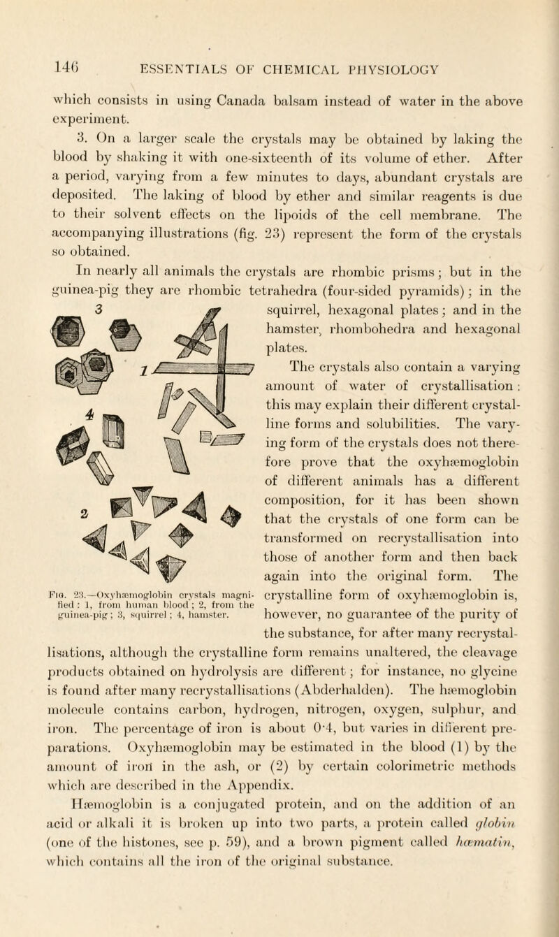 14(5 which consists in using Canada balsam instead of water in the above experiment. 3. On a larger scale the crystals may be obtained by laking the blood by shaking it with one-sixteenth of its volume of ether. After a period, varying from a few minutes to days, abundant crystals are deposited. The laking of blood by ether and similar reagents is due to their solvent effects on the lipoids of the cell membrane. The accompanying illustrations (fig. 23) represent the form of the crystals so obtained. In nearly all animals the crystals are rhombic prisms; but in the guinea-pig they are rhombic tetrahedra (four-sided pyramids); in the squirrel, hexagonal plates; and in the hamster, rhombohedra and hexagonal plates. The crystals also contain a varying amount of water of crystallisation : this may explain their different crystal¬ line forms and solubilities. The vary¬ ing form of the crystals does not there¬ fore prove that the oxyhemoglobin of different animals has a different composition, for it has been shown that the crystals of one form can be transformed on recrystallisation into those of another form and then back again into the original form. The crystalline form of oxyhemoglobin is, however, no guarantee of the purity of the substance, for after many recrystal- lisations, although the crystalline form remains unaltered, the cleavage products obtained on hydrolysis are different ; for instance, no glycine is found after many recrystallisations (Abderhalden). The hemoglobin molecule contains carbon, hydrogen, nitrogen, oxygen, sulphur, and iron. The percentage of iron is about 04, but varies in different pre¬ parations. Oxyhemoglobin may be estimated in the blood (1) by the amount of iron in the ash, or (2) by certain colorimetric methods which are described in the Appendix. Hemoglobin is a conjugated protein, and on the addition of an acid or alkali it is broken up into two parts, a protein called globin (one of the histones, see p. 39), and a brown pigment called hcematin, which contains all the iron of the original substance. Fig. ‘2:!.—Oxyhaemoglobin crystals magni¬ fied : 1, from human blood ; 2, from the guinea-pig; 3, squirrel ; 4, hamster.