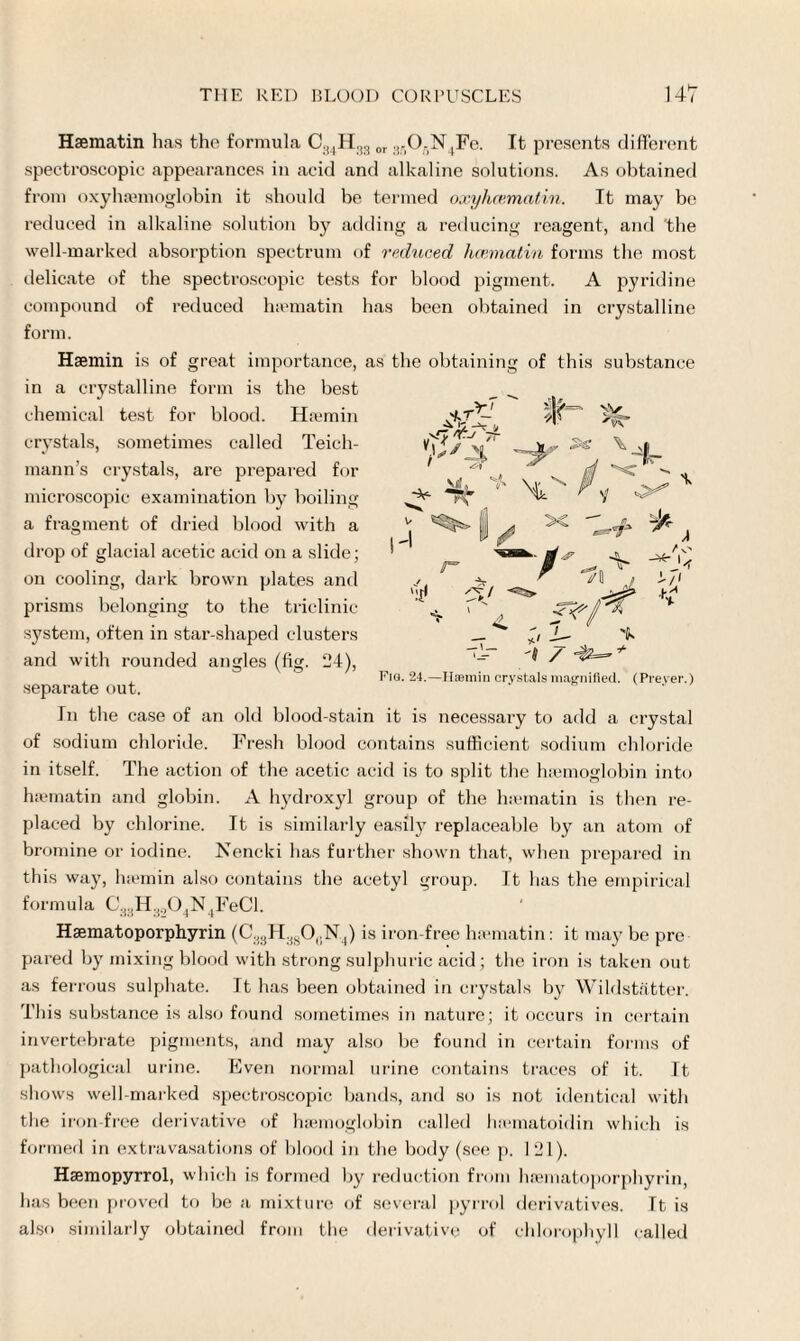 Hasmatin has the formula C34H33 or 3iiOfiN4Fe. It presents different spectroscopic appearances in acid and alkaline solutions. As obtained from oxyhaemoglobin it should be termed oxyhcematin. It may be reduced in alkaline solution by adding a reducing reagent, and the well-marked absorption spectrum of reduced licematin forms the most delicate of the spectroscopic tests for blood pigment. A pyridine compound of reduced hsematin has been obtained in crystalline form. Haemin is of great importance, as tbe obtaining of this substance in a crystalline form is the best chemical test for blood. H:cmin crystals, sometimes called Teich- mann’s crystals, are prepared for microscopic examination by boiling a fragment of dried blood with a drop of glacial acetic acid on a slide; on cooling, dark brown plates and prisms belonging to the triclinic system, often in star-shaped clusters and with rounded angles (fig. 24), Fio. 24.—Ilaemin crystals magnified. (Prever.) separate out. In the case of an old blood-stain it is necessary to add a crystal of sodium chloride. Fresh blood contains sufficient sodium chloride in itself. The action of the acetic acid is to split the haemoglobin into hsematin and globin. A hydroxyl group of the htematin is then re¬ placed by chlorine. It is similarly easily replaceable by an atom of bromine or iodine. Nencki lias further shown that, when prepared in this way, hsemin also contains the acetyl group. It has the empirical formula C33H3i,04N4FeCl. Hsematoporphyrin (C33H3S0,.N4) is iron-free hsematin: it may be pre pared by mixing blood with strong sulphuric acid; the iron is taken out as ferrous sulphate. It has been obtained in crystals by Wildstatter. This substance is also found sometimes in nature; it occurs in certain invertebrate pigments, and may also be found in certain forms of pathological urine. Even normal urine contains traces of it. It shows well-marked spectroscopic bands, and so is not identical with the iron-free derivative of haemoglobin called luematoidin which is formed in extravasations of blood in the body (see p. 121). Haemopyrrol, which is formed by reduction from hsematoporphyrin, has been proved to be a mixture of several pyrrol derivatives. It is also similarly obtained from the derivative of chlorophyll called c*. rr~ * * * ‘a! 7J r sV 3? V 4- ^ A /II t t/( ** 't / +