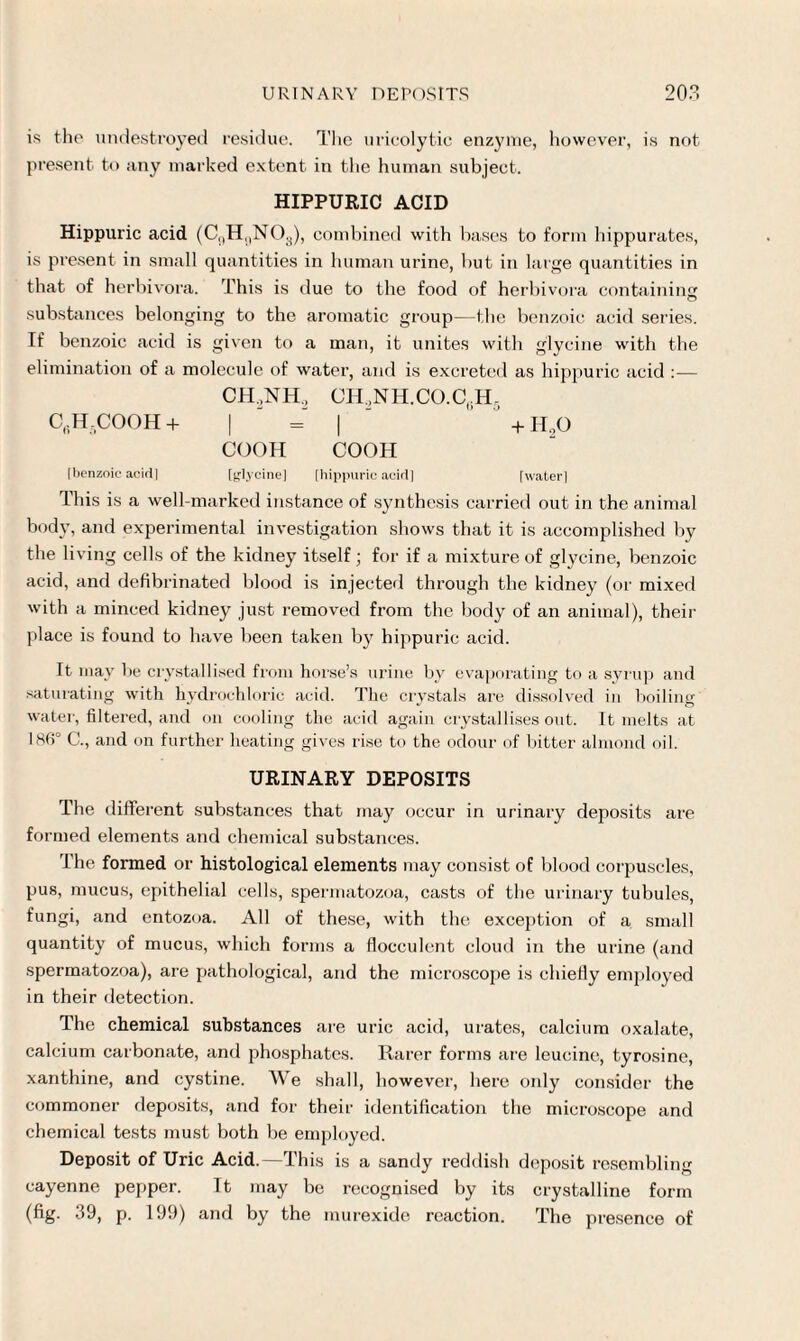 is the undestroyed residue. The uricolytic enzyme, however, is not present to any marked extent in the human subject. HIPPURIC ACID Hippuric acid (C,lH,,NO,!), combined with bases to form hippurates, is present in small quantities in human urine, but in large quantities in that of herbivora. This is due to the food of herbivora containing substances belonging to the aromatic group-—the benzoic acid series. If benzoic acid is given to a man, it unites with glycine with the elimination of a molecule of water, and is excreted as hippuric acid — CH,NH2 CH,NH.CO.C0H5 C,.H-COOH + | = | + H20 COOH COOH [benzoic acid I [glycine] [hippuric acid] [water] This is a well-marked instance of synthesis carried out in the animal body, and experimental investigation shows that it is accomplished by the living cells of the kidney itself; for if a mixture of glycine, benzoic acid, and defibrinated blood is in jected through the kidney (or mixed with a minced kidney just removed from the body of an animal), their place is found to have been taken by hippuric acid. It may be crystallised from horse’s urine by evaporating to a syrup and saturating with hydrochloric acid. The crystals are dissolved in boiling water, filtered, and on cooling the acid again crystallises out. It melts at 186° C., and on further heating gives rise to the odour of bitter almond oil. URINARY DEPOSITS The different substances that may occur in urinary deposits are formed elements and chemical substances. The formed or histological elements may consist of blood corpuscles, pus, mucus, epithelial cells, spermatozoa, casts of the urinary tubules, fungi, and entozoa. All of these, with the exception of a small quantity of mucus, which forms a flocculent cloud in the urine (and spermatozoa), are pathological, and the microscope is chiefiy employed in their detection. The chemical substances are uric acid, urates, calcium oxalate, calcium carbonate, and phosphates. Rarer forms are leucine, tyrosine, xanthine, and cystine. We shall, however, here only consider the commoner deposits, and for their identification the microscope and chemical tests must both be employed. Deposit of Uric Acid.—This is a sandy reddish deposit resembling cayenne pepper. It may be recognised by its crystalline form (fig. 39, p. 199) and by the murexide reaction. The presence of
