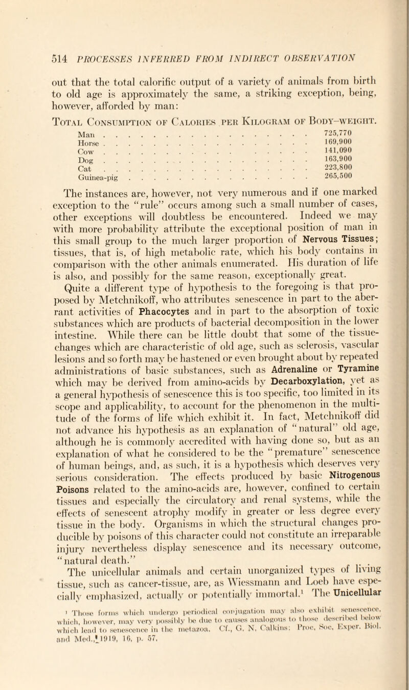 out that the total calorific output of a variety of animals from birth to old age is approximately the same, a striking exception, being, however, afforded by man: Total Consumption of Calories per Kilogram of Body-weight. Man . Horse . Cow Dog . . Cat Guinea-pig 725,770 169.900 141,090 163.900 223,800 265,500 The instances are, however, not very numerous and if one marked exception to the “rule” occurs among such a small number of cases, other exceptions will doubtless be encountered. Indeed we may with more probability attribute the exceptional position of man in this small group to the much larger proportion of Nervous Tissues; tissues, that is, of high metabolic rate, which his body contains in comparison with the other animals enumerated. His duration of life is also, and possibly for the same reason, exceptionally great. Quite a different type of hypothesis to the foregoing is that pro¬ posed by Metchnikoff, who attributes senescence in part to the aber¬ rant activities of Phacocytes and in part to the absorption of toxic substances which are products of bacterial decomposition in the lower intestine. While there can be little doubt that some of the tissue- changes which are characteristic of old age, such as sclerosis, vascular lesions and so forth may be hastened or even brought about by repeated administrations of basic substances, such as Adrenaline or Tyramine which may be derived from amino-acids by Decarboxylation, yet a* a general hypothesis of senescence this is too specific, too limited in its scope and applicability, to account for the phenomenon in the multi¬ tude of the forms of life which exhibit it. In fact, Metchnikoff did not advance his hypothesis as an explanation of “ natural old age, although he is commonly accredited with having done so, but as an explanation of what he considered to be the “ premature senescence of human beings, and, as such, it is a hypothesis which deserves very serious consideration. The effects produced by basic Nitrogenous Poisons related to the amino-acids are, however, confined to certain tissues and especially the circulatory and renal systems, while the effects of senescent atrophy modify in greater or less degree every tissue in the body. Organisms in which the structural changes pro¬ ducible by poisons of this character could not constitute an irreparable injury nevertheless display senescence and its necessary outcome, “natural death.” ... The unicellular animals and certain unorganized types of living tissue, such as cancer-tissue, are, as Wiessmann and Loeb have espe¬ cially emphasized, actually or potentially immortal.1 The Unicellular ' Those forms which undergo periodical conjugation may also exhibit senescence, which, however, may very possibly be due to causes analogous to those described below which lead to senescence in the metazoa. Cf., G, N, Calkins; Proc, Soc, Exper. Hu>l. and Med.,'1919, 1G, p. 57,