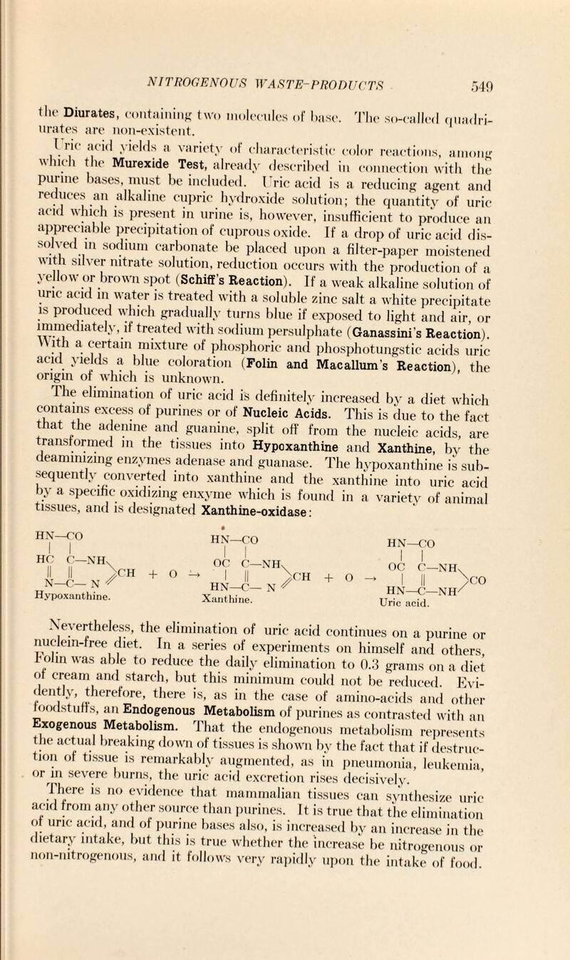 tlie Diurates, containing two molecules of base. The so-called quadri- urates are non-existent. I i i( acid \ ields a variety of characteristic color reactions, among  . 1 Murexide Test, already described in connection with the purine bases, must be included. Uric acid is a reducing agent and reduces an alkaline cupric hydroxide solution; the quantity of uric acid which is present in urine is, however, insufficient to produce an appreciable precipitation of cuprous oxide. If a drop of uric acid dis- S0. \e( ,.m s°dium carbonate be placed upon a filter-paper moistened with silver nitrate solution, reduction occurs with the production of a yellow or brown spot (Schiff’s Reaction). If a weak alkaline solution of uric acid in water is treated with a soluble zinc salt a white precipitate is produced which gradually turns blue if exposed to light and air, or immediately, if treated with sodium persulphate (Ganassini's Reaction). With a certain mixture of phosphoric and phosphotungstic acids uric acid yields a blue coloration (Folin and Macallum’s Reaction), the origin of which is unknown. Ihe elimination of uric acid is definitely increased by a diet which contains excess of purines or of Nucleic Acids. This is due to the fact that the adenine and guanine, split off from the nucleic acids, are ransformed in the tissues into Hypoxanthine and Xanthine, by the deaminizing enzymes adenase and guanase. The hypoxanthine is sub¬ sequently converted into xanthine and the xanthine into uric acid by a specific oxidizing enxyme which is found in a variety of animal tissues, and is designated Xanthine-oxidase: HN—co I I HC C—NHn H II * N—C— N * Hypoxanthine. CH + O HN—CO I I oc C—NHX HN—C— N ^ Xanthine. OH + O HN—CO I I OC C—NHS ' I II HN—C—NH/ Uric acid. >CO ertheless, the elimination of uric acid continues on a purine or nuclein-free diet. In a series of experiments on himself and others hofin was able to reduce the daily elimination to 0.3 grams on a diet of cream and starch, but this minimum could not be reduced. Evi¬ dently, therefore, there is, as in the case of amino-acids and other foodstuffs, an Endogenous Metabolism of purines as contrasted with an xogenous Metabolism. That the endogenous metabolism represents the actual breaking down of tissues is shown by the fact that if destruc¬ tion of tissue is remarkably augmented, as in pneumonia, leukemia or m severe burns, the uric acid excretion rises decisively. There is no evidence that mammalian tissues can synthesize uric acid from any other source than purines. It is true that the elimination ot uric acid, and of purine bases also, is increased by an increase in the dietary intake, but this is true whether the increase be nitrogenous or non-mtrogenous, and it follows very rapidly upon the intake of food.